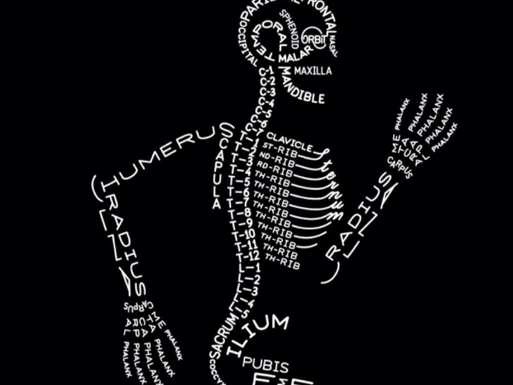 Radiologic Technologist Wallpapers Top Free Radiologic Technologist Backgrounds WallpaperAccess