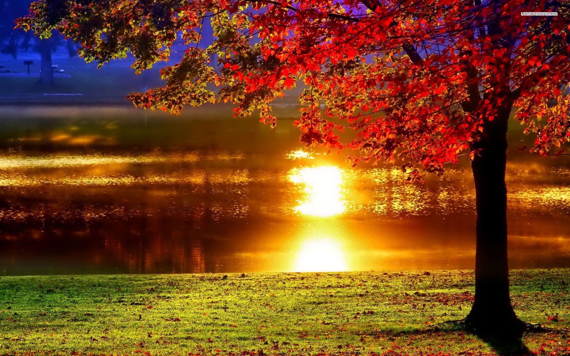 1920x1200 Love in Islam Necessary Ingredient. About Islam. Pretty sunset wallpaper, Sunset wallpaper, Nature wallpaper