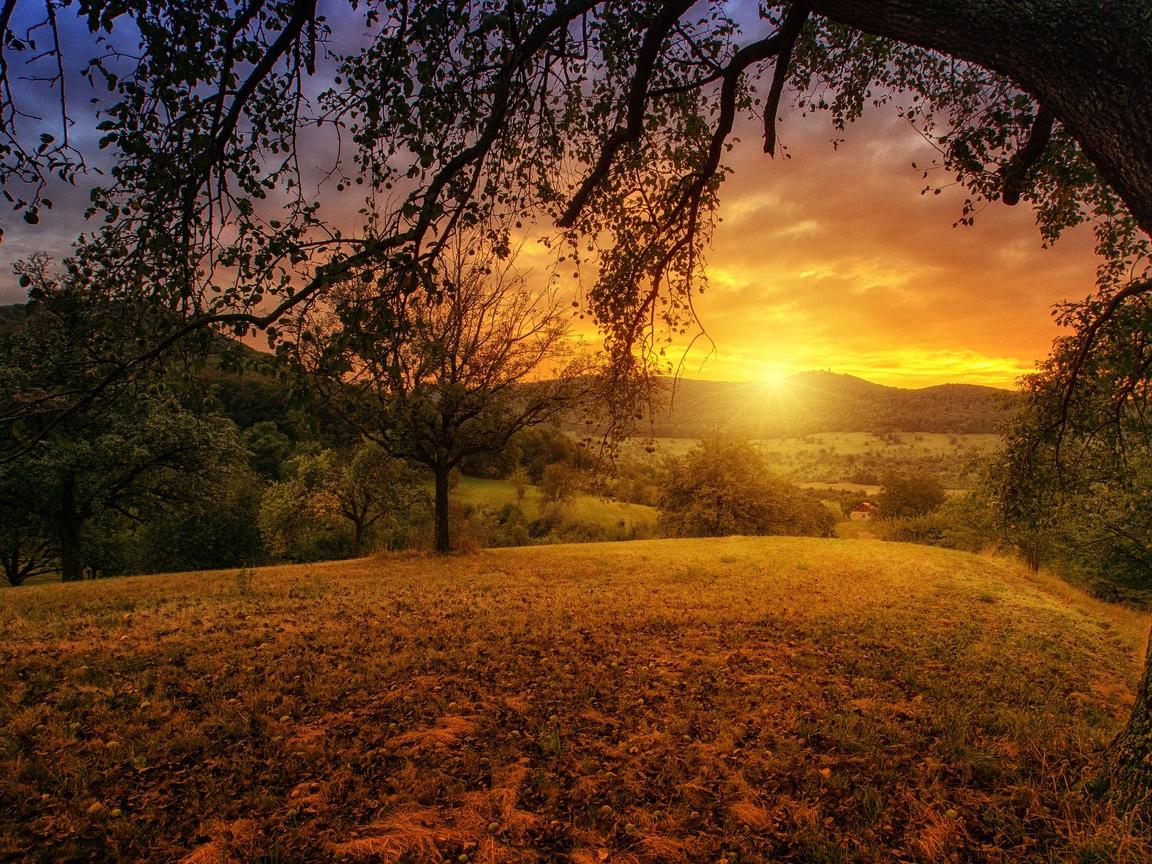1152x864 Tree Sun Aesthetic Dawn Landscape Panorama 1152x864 Resolution HD 4k Wallpaper, Image, Background, Photo and Picture