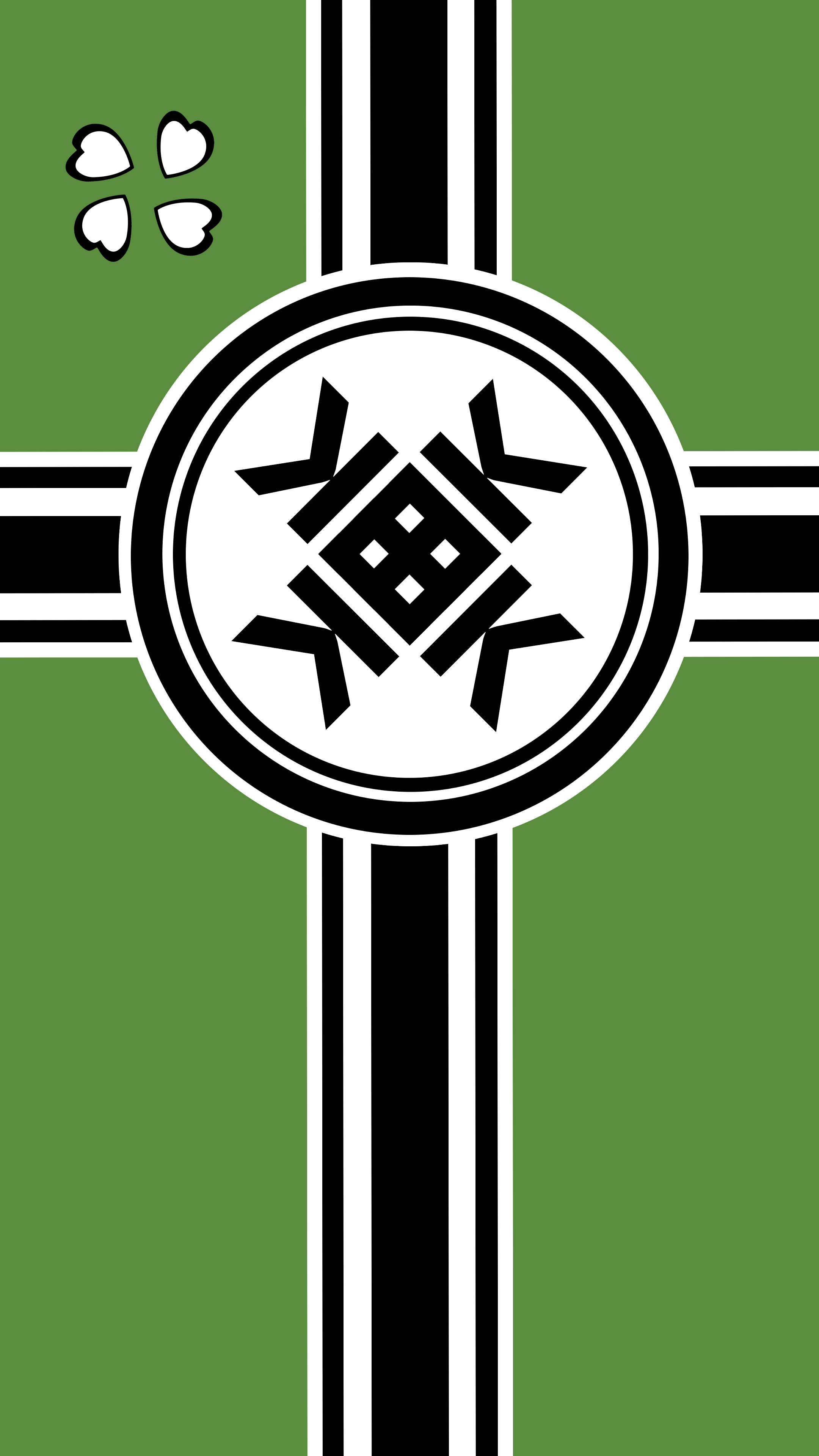 2160x3840 Made A Few High Res Variants Of The Flag, And Phone Wallpaper To Go With It