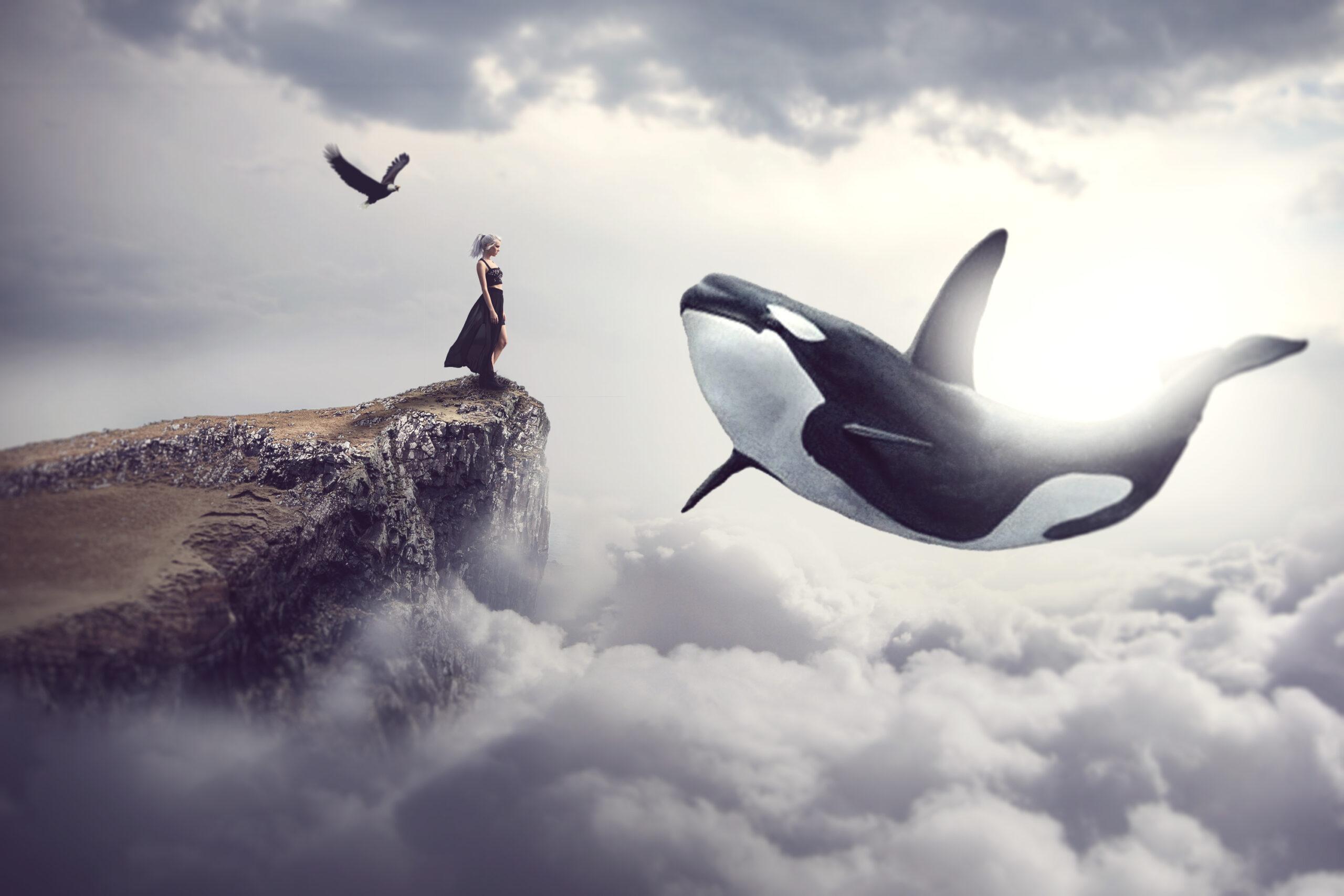 2560x1707 Woman 3000×2000 Whale Dream Clouds HD