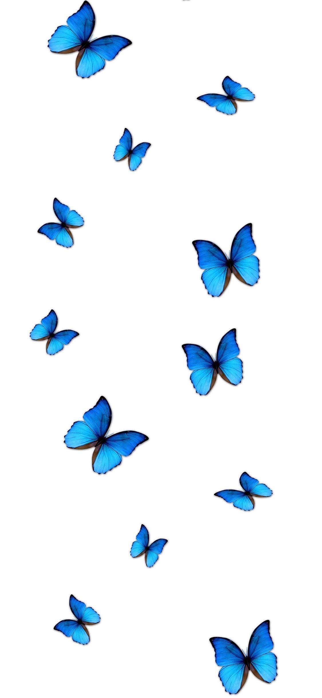 1125x2436 aesthetic blue butterflies wallpaper. Butterfly wallpaper iphone, Butterfly wallpaper, Blue butterfly wallpaper