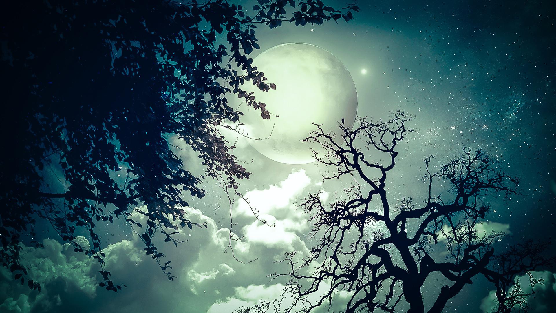 1920x1080 moon, Trees, Clouds, Dream, Stars Wallpaper HD / Desktop and Mobile Background