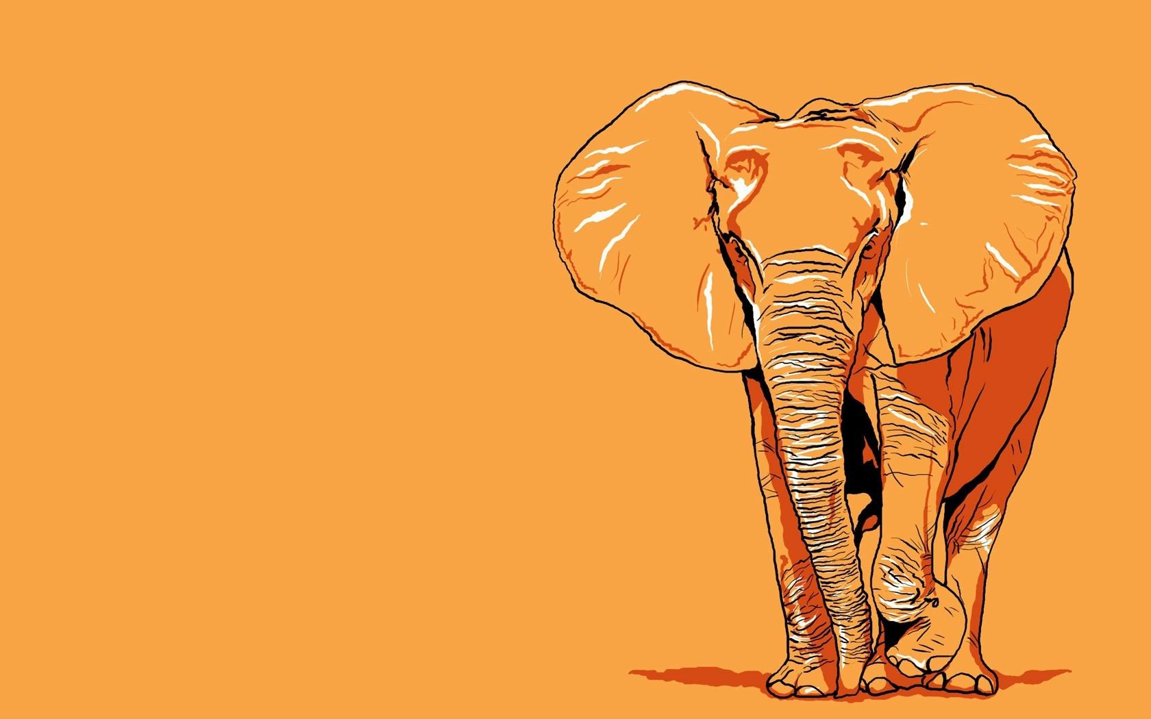 Minimalist Elephant Wallpapers - Top Free Minimalist Elephant