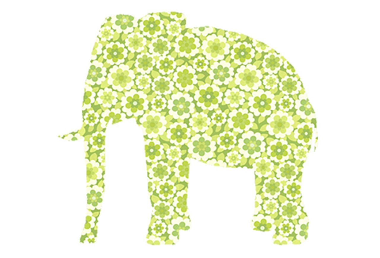 1280x871 WALLPAPER WILDLIFE ELEPHANT By Inke Heiland Wm Elephant 0119