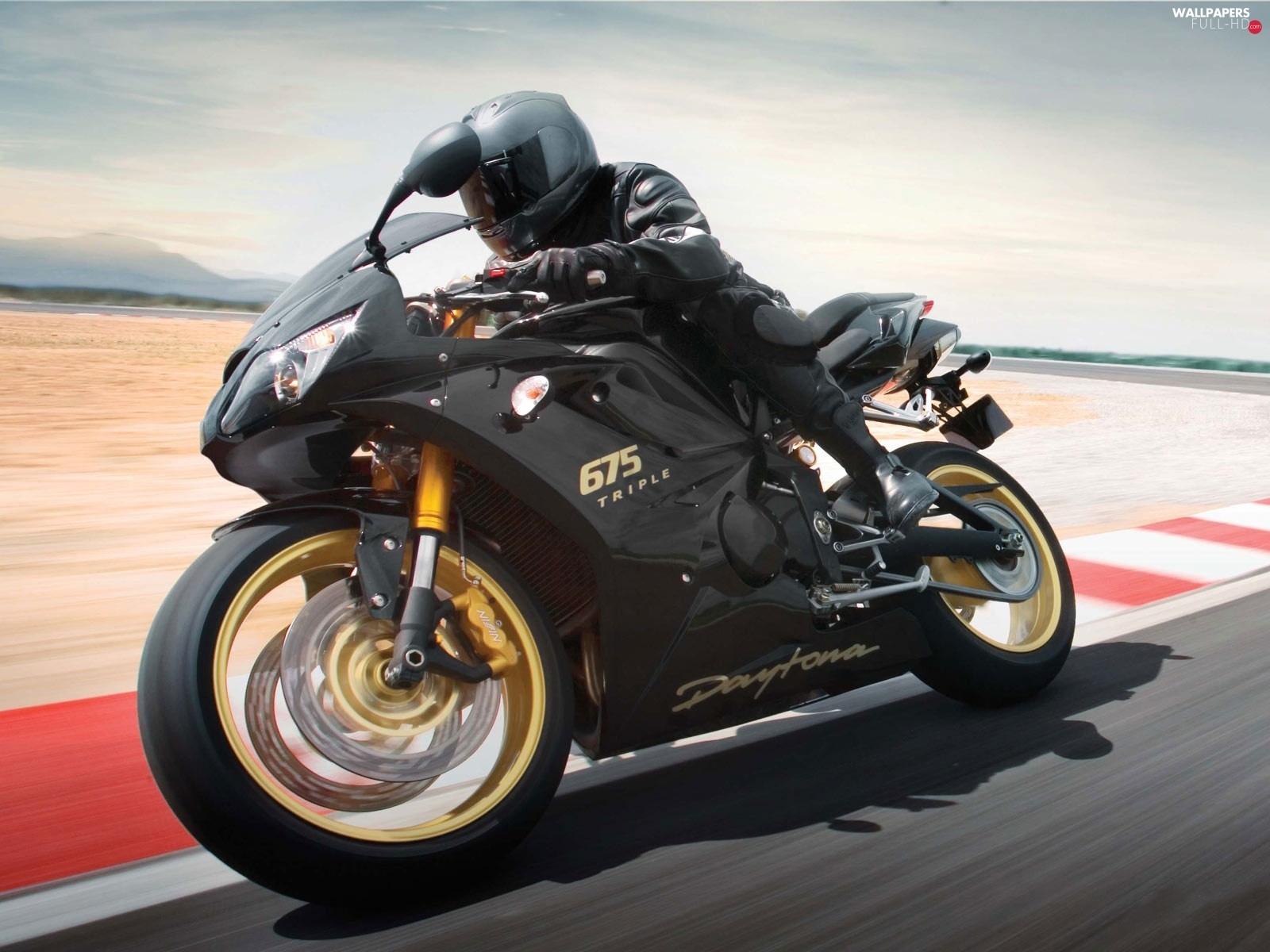 1600x1200 painting, Triumph Daytona Black HD Wallpaper: 1600x1200