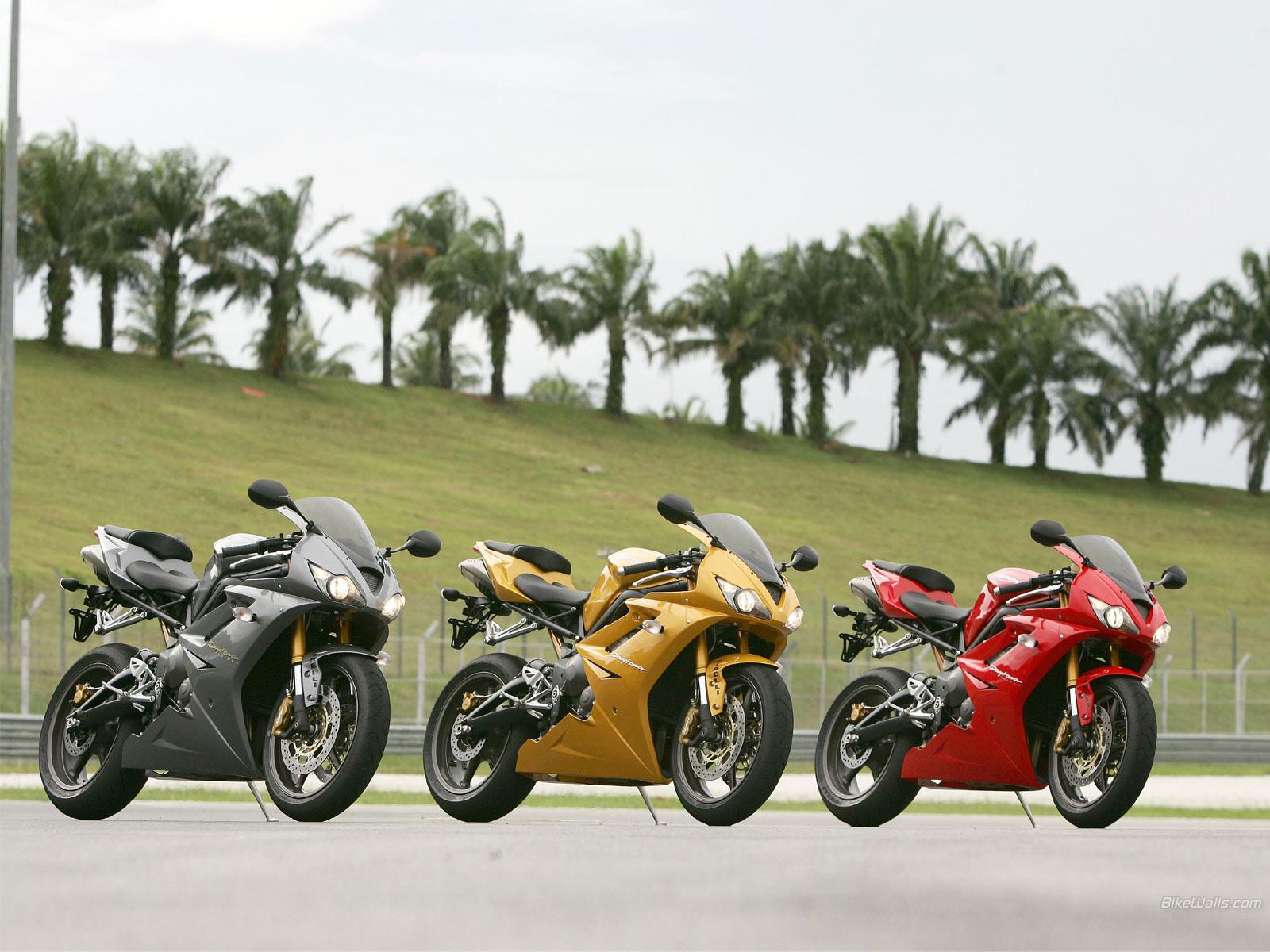 1600x1200 Wallpaper triumph, motorcycle, palm, triumph daytona triumph daytona desktop wallpaper Motorcycles