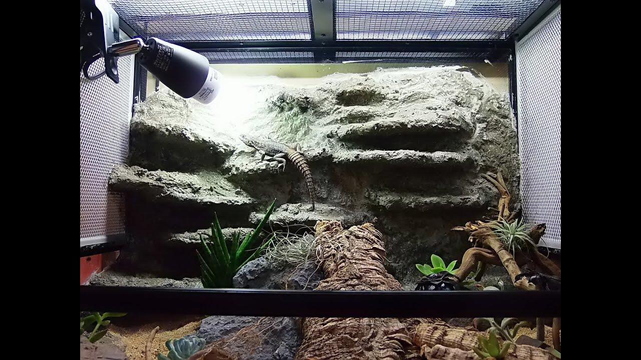 1280x720 Free download Making rock background for dry vivarium HD [1280x720] for your Desktop, Mobile & Tablet. Explore Terrarium Background