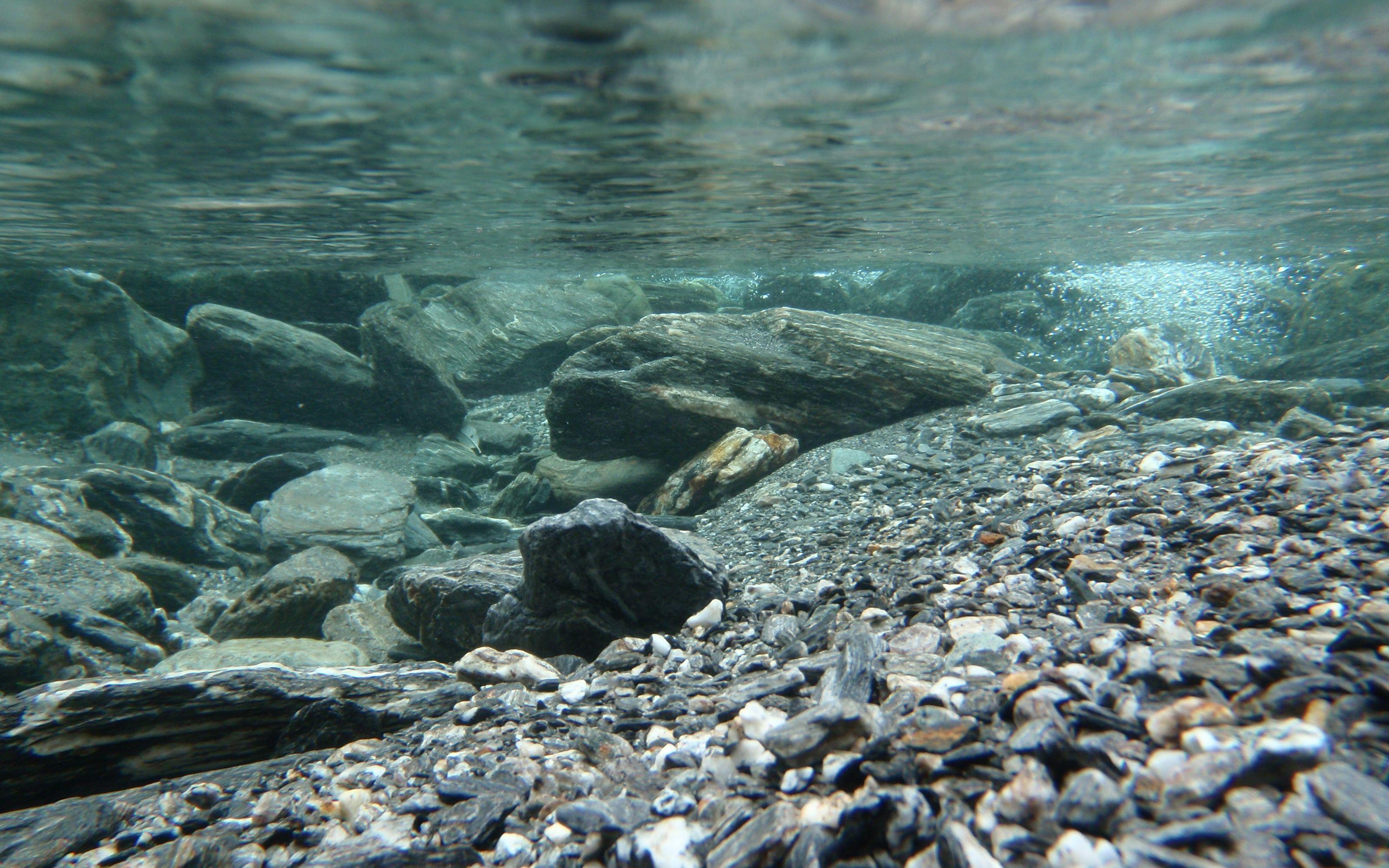 Камни вода рыбы