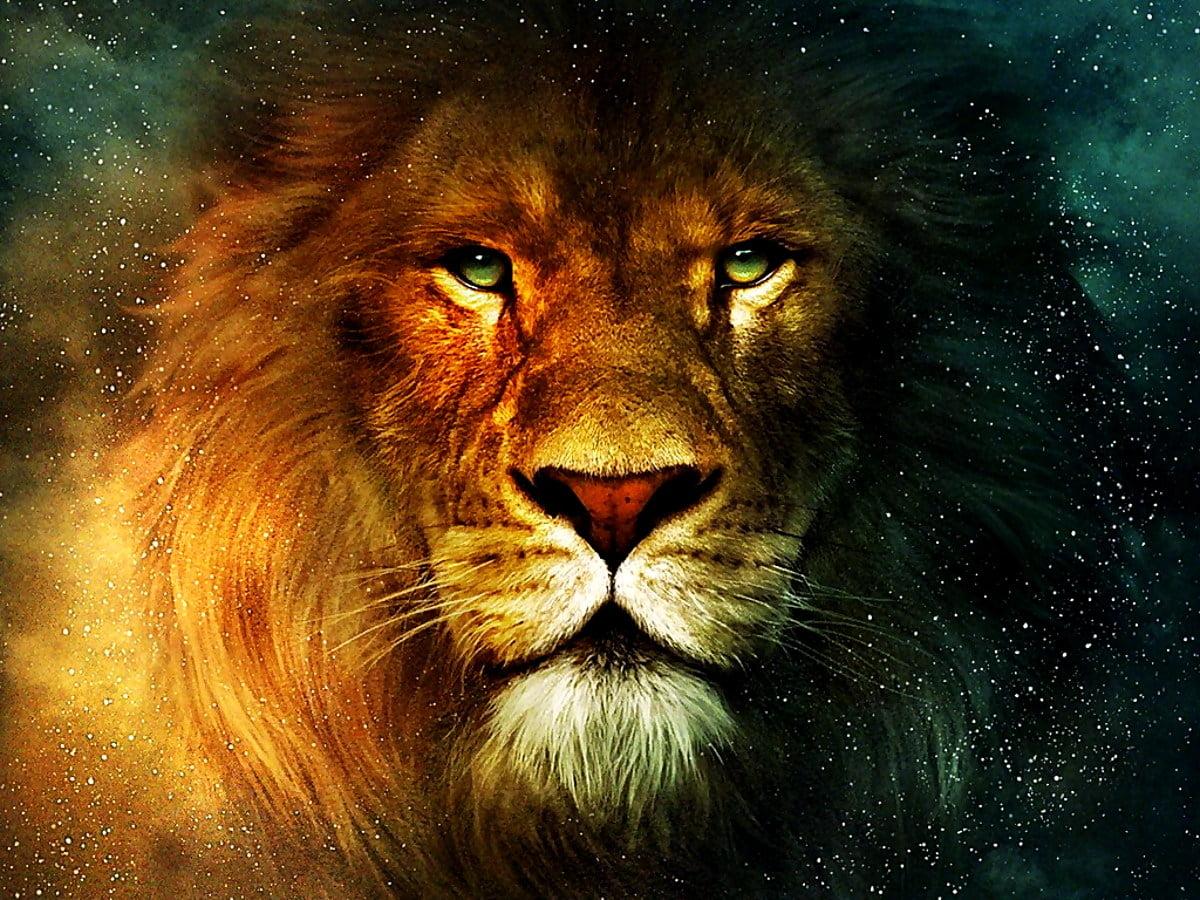 Angry Lion Art Wallpapers - Top Free Angry Lion Art Backgrounds ...