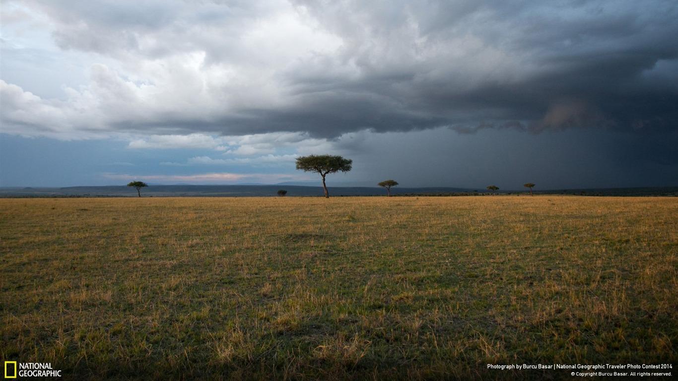 1366x768 Masai Mara Sunset National Geographic Wallpaper
