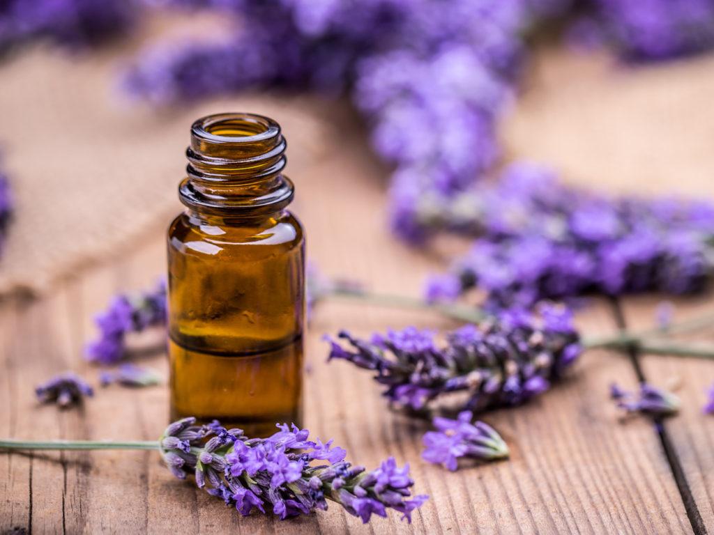 1024x768 Lavender Oil. Guide To Essential Oils. Andrew Weil, M.D