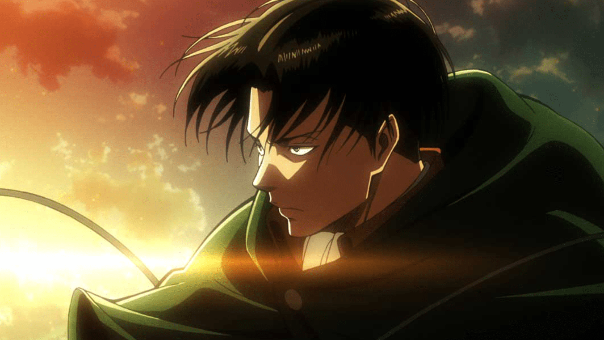 2560x1440 levi 4K of Wallpaper for Andriod