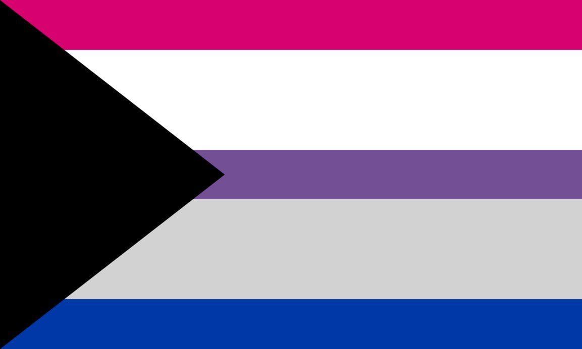 1153x692 Demi Bi By Pride Flags