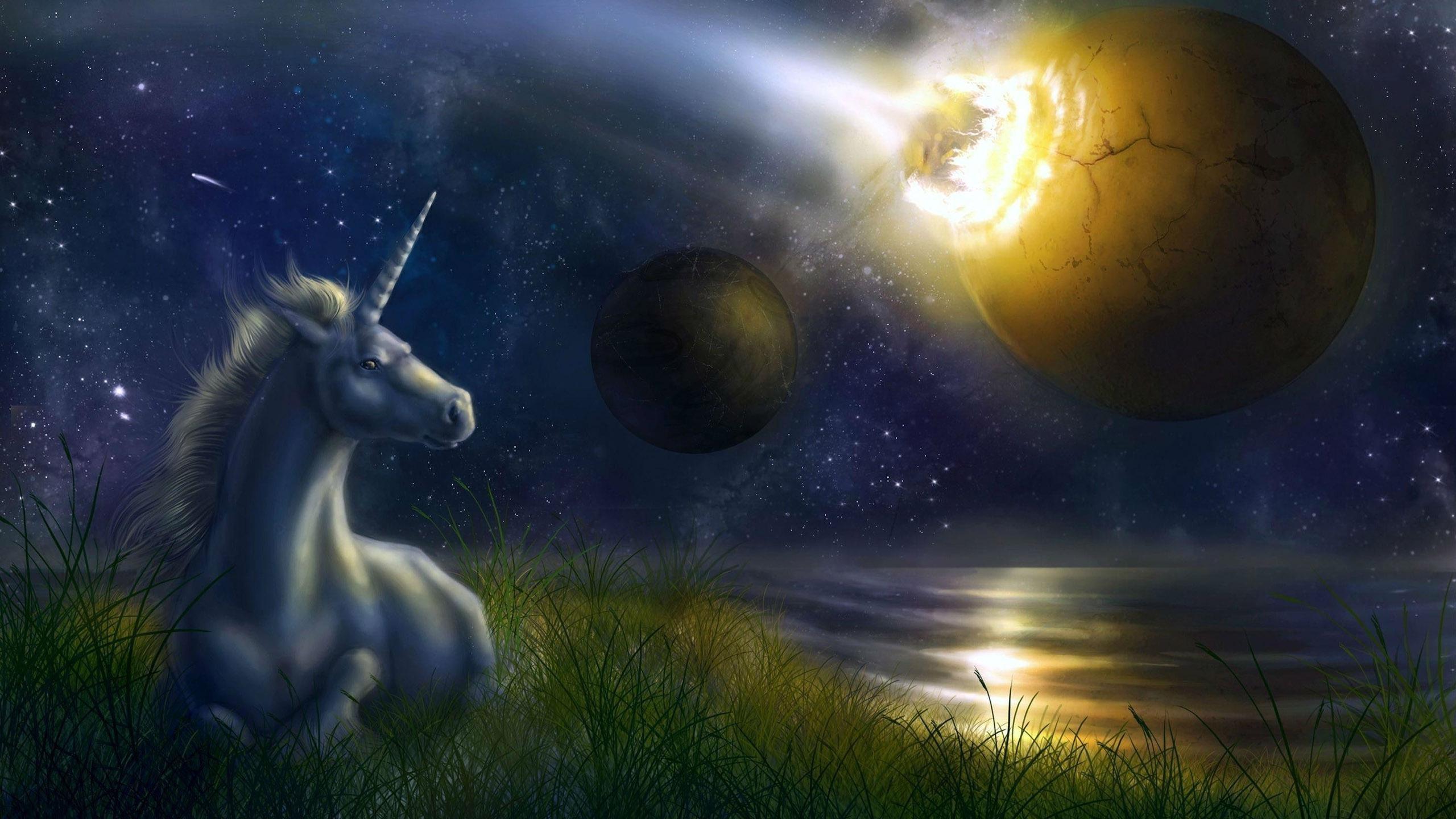 2560x1440 Unicorn wallpaper, unicorn watching the galaxy painting, fantasy, 2560x1440 • Wallpaper For You HD Wallpaper For Desktop & Mobile