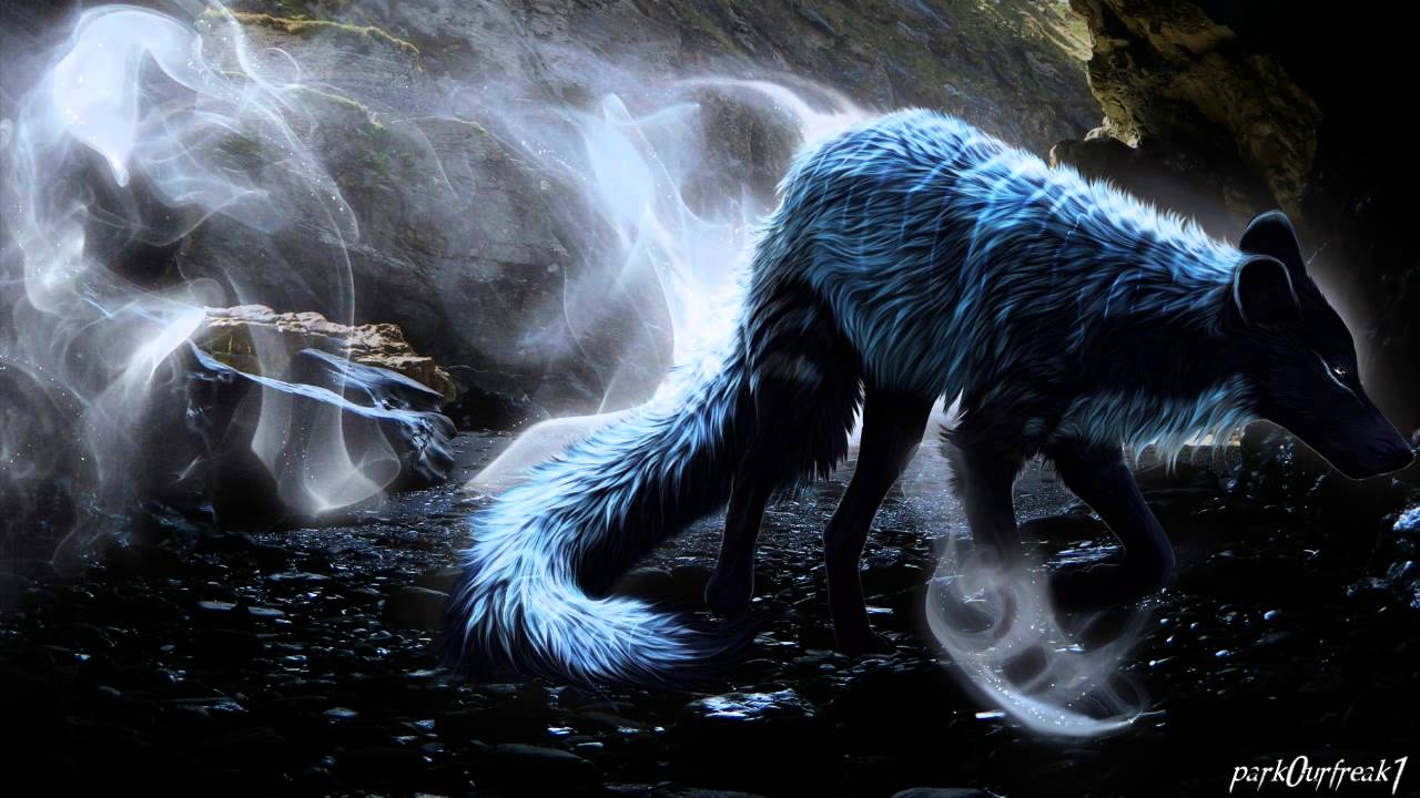 1280x720 Lone Wolf Alpha Wolf Wallpaper
