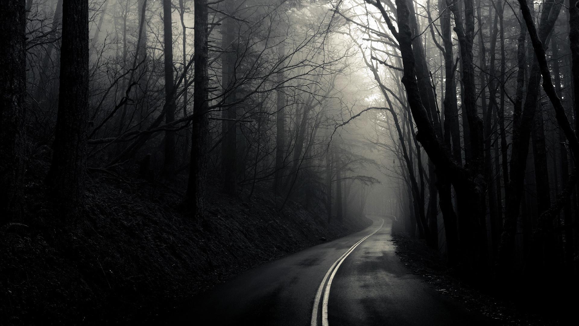1920x1080 Free download Dark Winding Road wallpaper [1920x1080] for your Desktop, Mobile & Tablet. Explore Dark Road Wallpaper. Dark Road Wallpaper, Beautiful Road Wallpaper, Road Runner Wallpaper