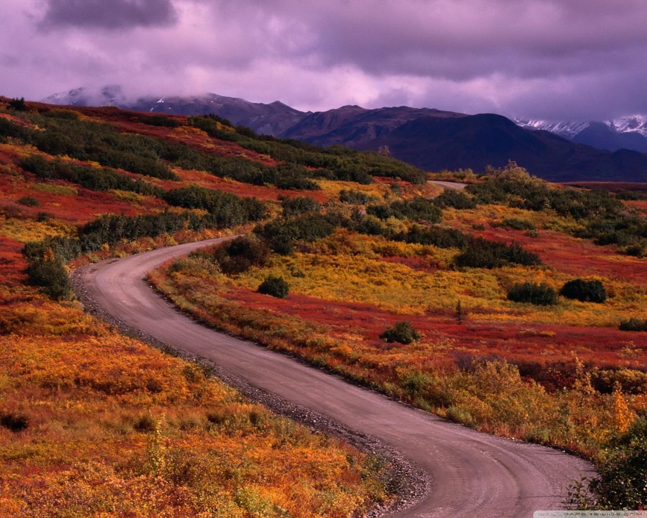 1280x1024 Winding Road Ultra HD Desktop Background Wallpaper for 4K UHD TV : Widescreen & UltraWide Desktop & Laptop : Tablet