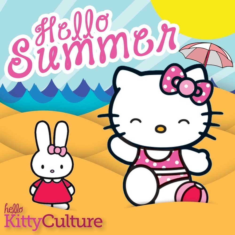 Hello Kitty Hawaii Wallpapers  Top Free Hello Kitty Hawaii Backgrounds   WallpaperAccess