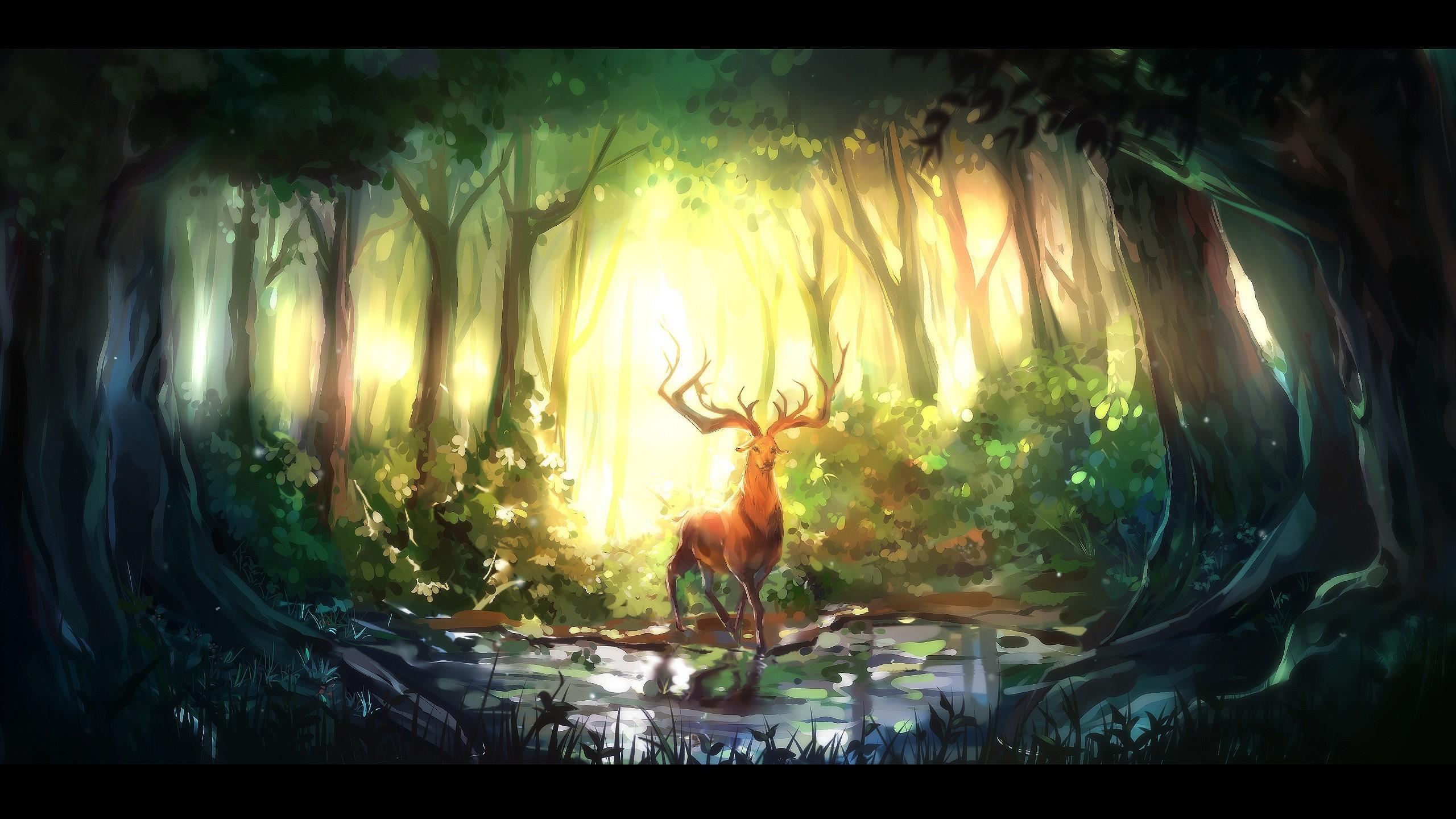 2560x1440 Forest Lake Art