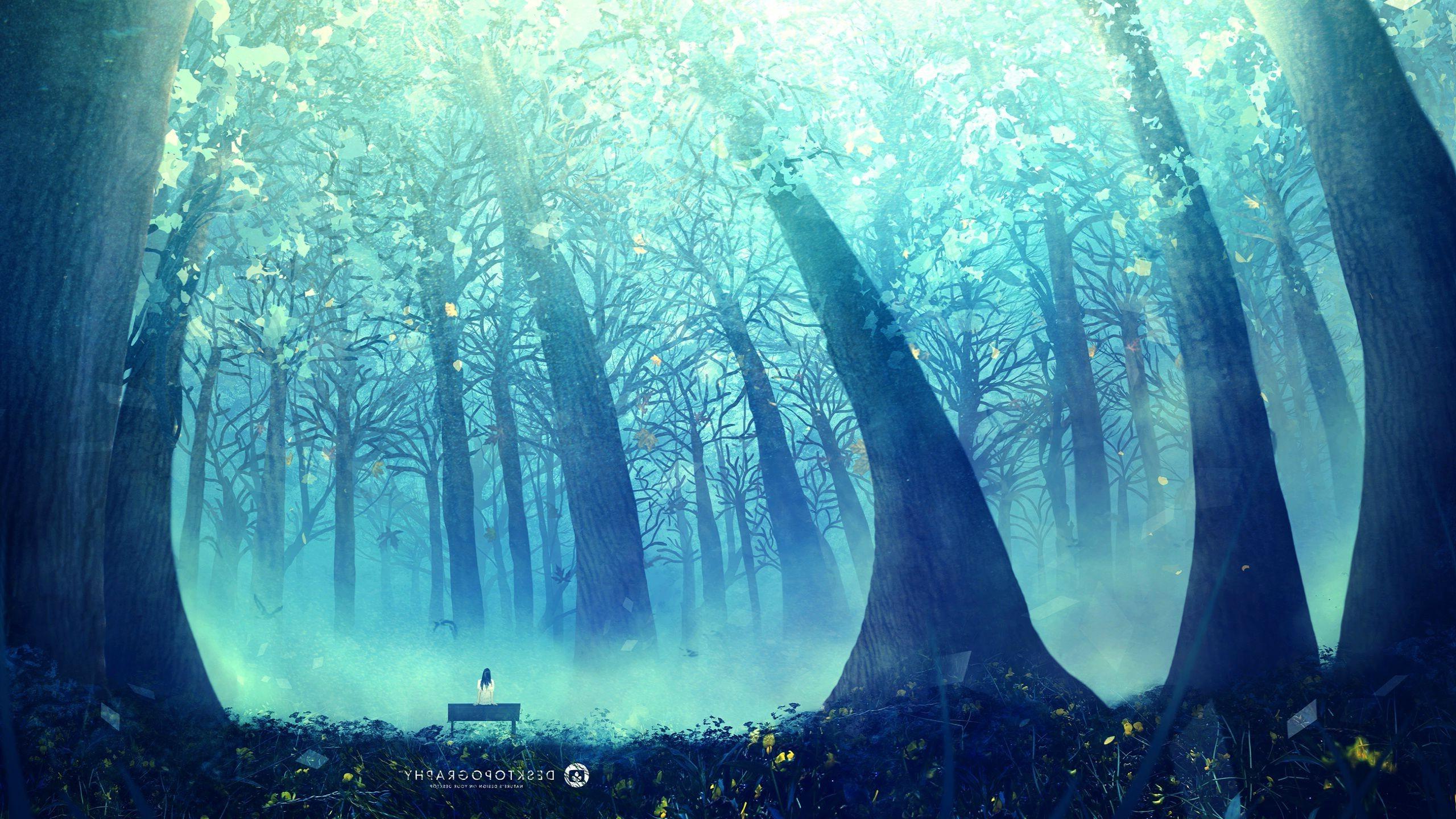 2560x1440 Digital Art Forest Background