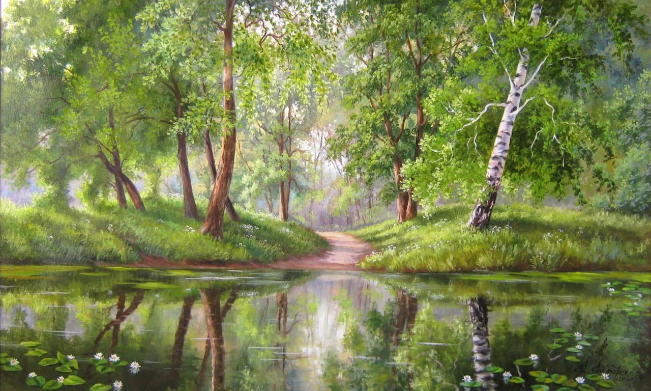 1280x768 Forest Landscape Reflections Free Wallpaper 2560x1600 :