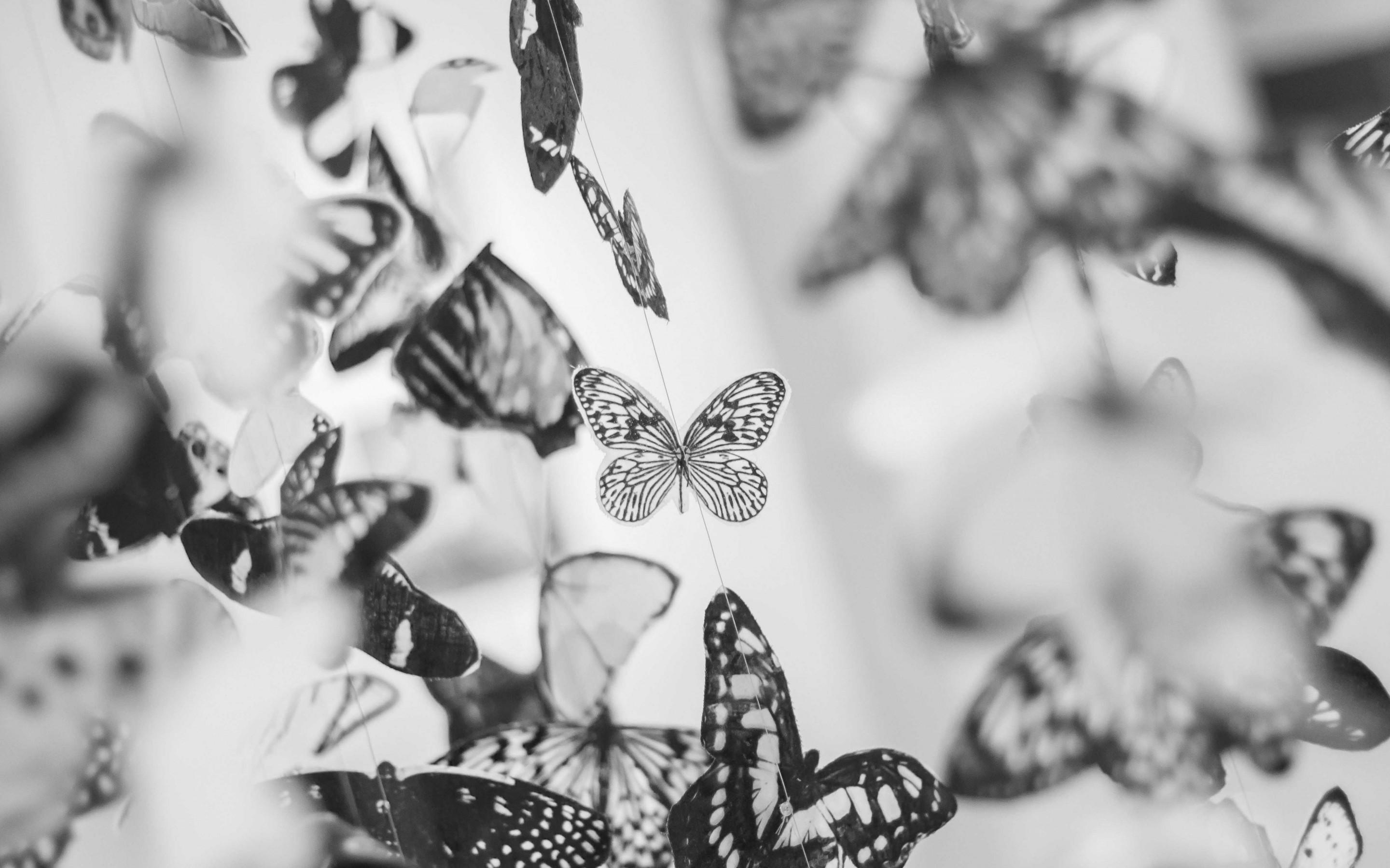 2880x1800 Colorful Beautiful Black and White Butterfly Wallpaper for Desktop and Mobiles 15 Retina Macbook Pro