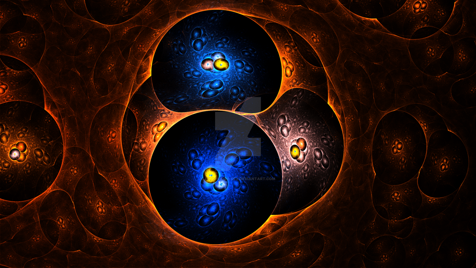 1600x900 Cytokinesis Desktop Wallpaper