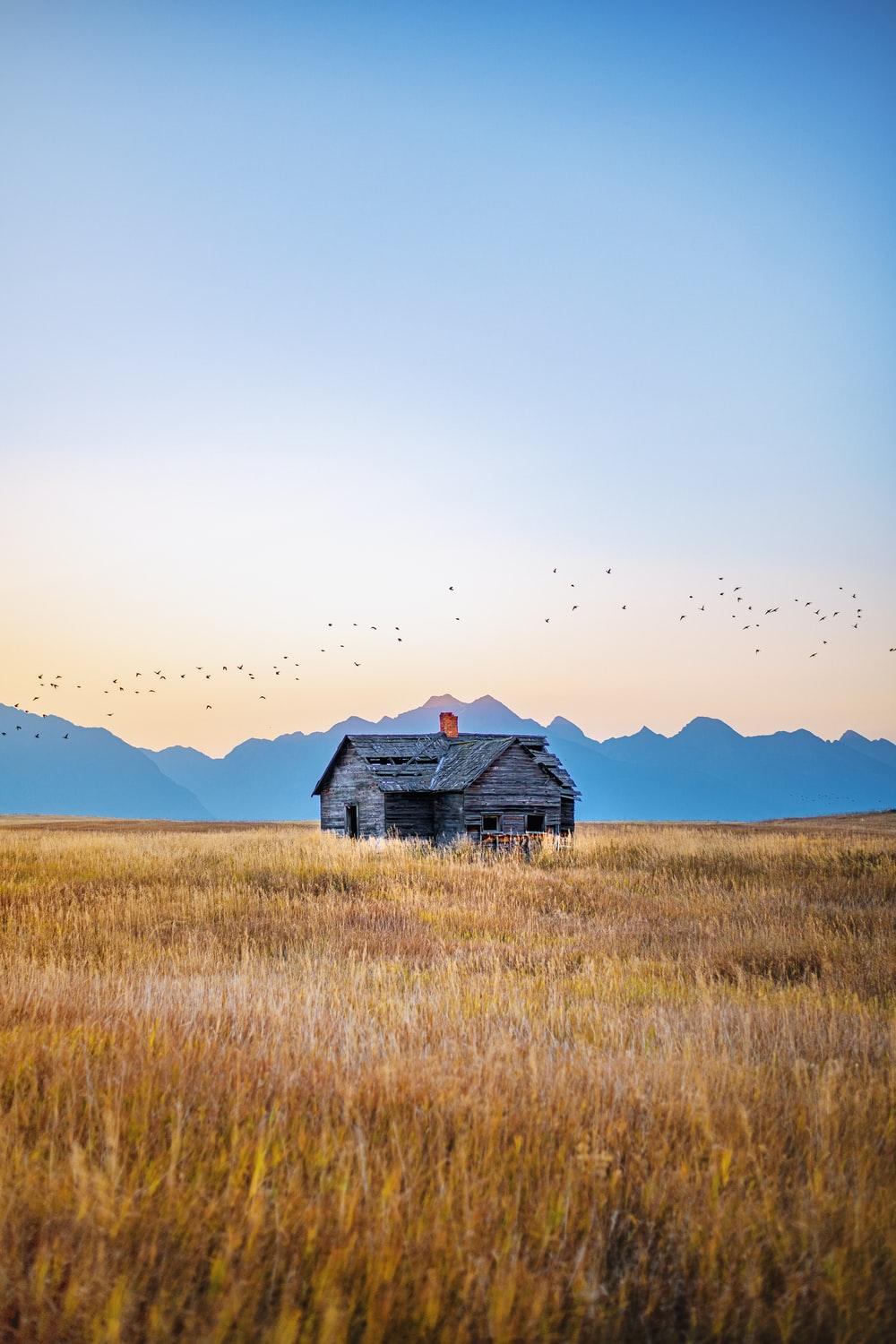 1000x1500 Montana Picture [HD]. Download Free Image
