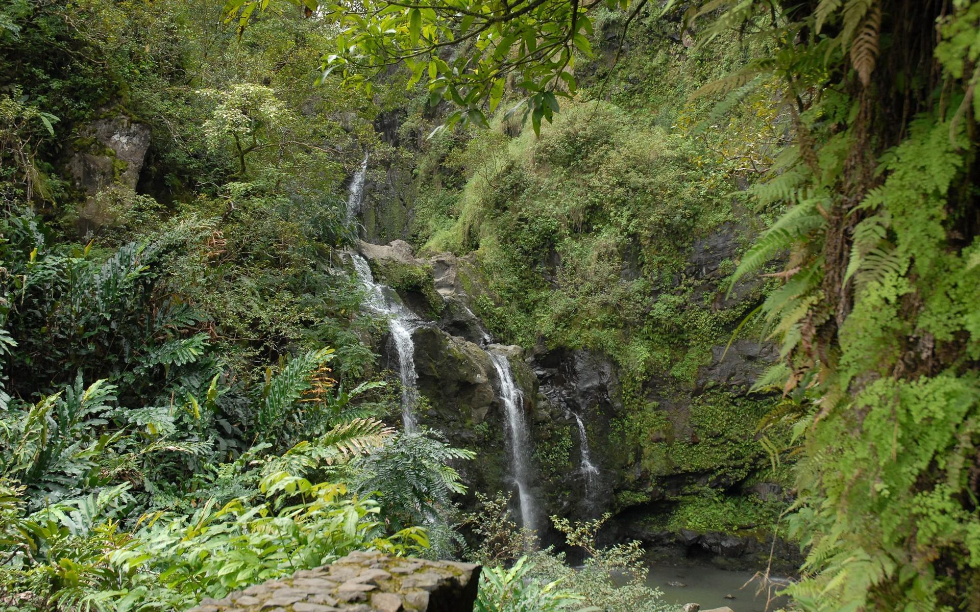 1920x1200 Random, waterfalls, collector, waterfall, wallpaper, dszyer, summer, nftmipra, blowing