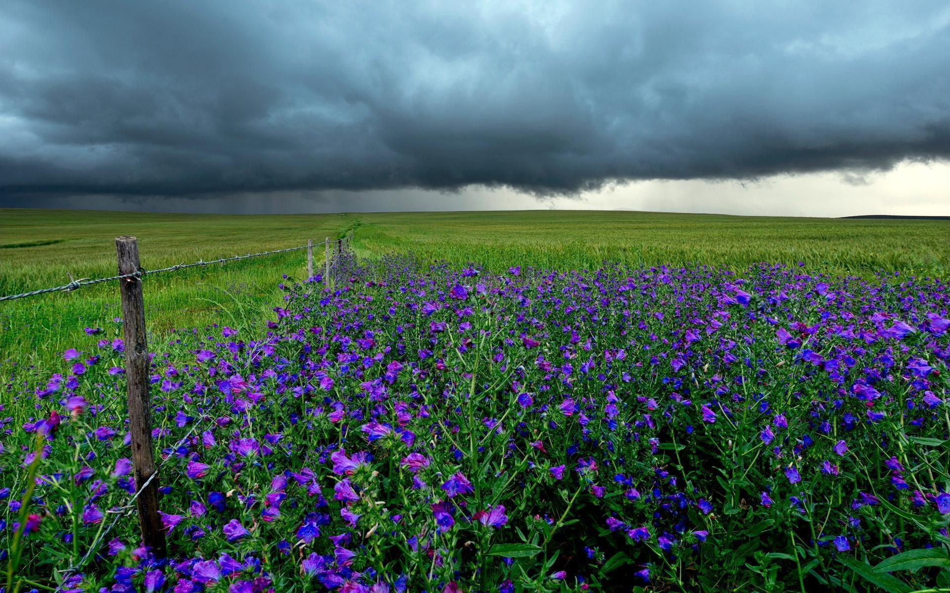 Spring Storm Wallpapers Top Free Spring Storm Backgrounds