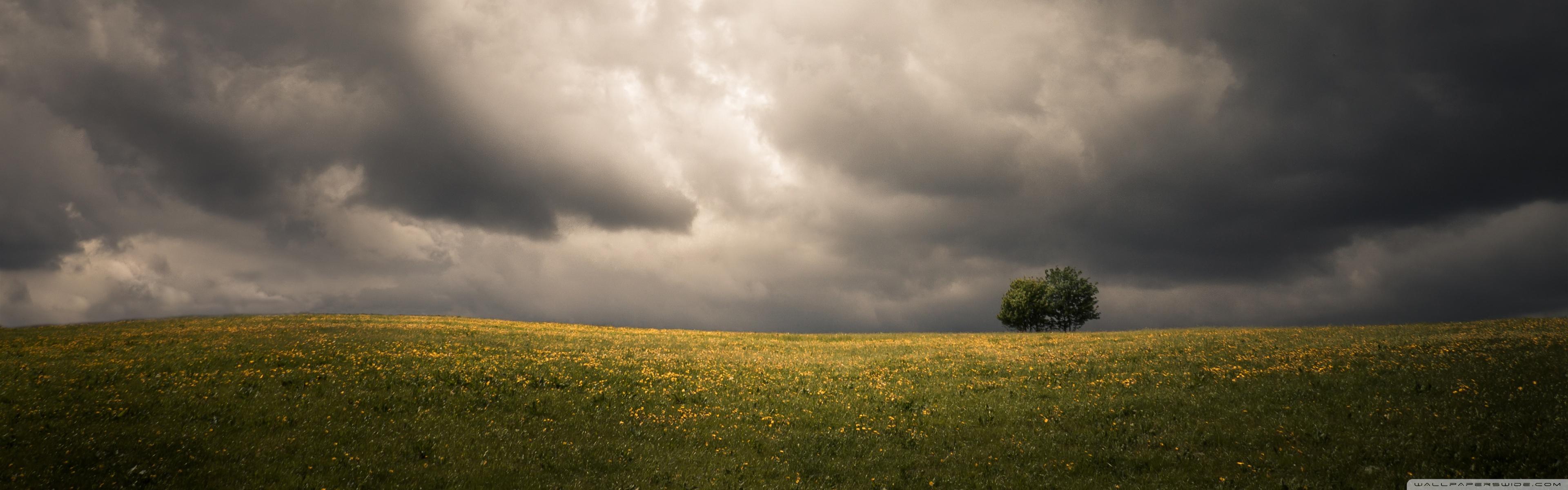 3840x1200 Spring, Field, Two Tree, Storm Clouds, Dark Sky Ultra HD Desktop Background Wallpaper for 4K UHD TV : Widescreen & UltraWide Desktop & Laptop : Multi Display, Dual Monitor : Tablet