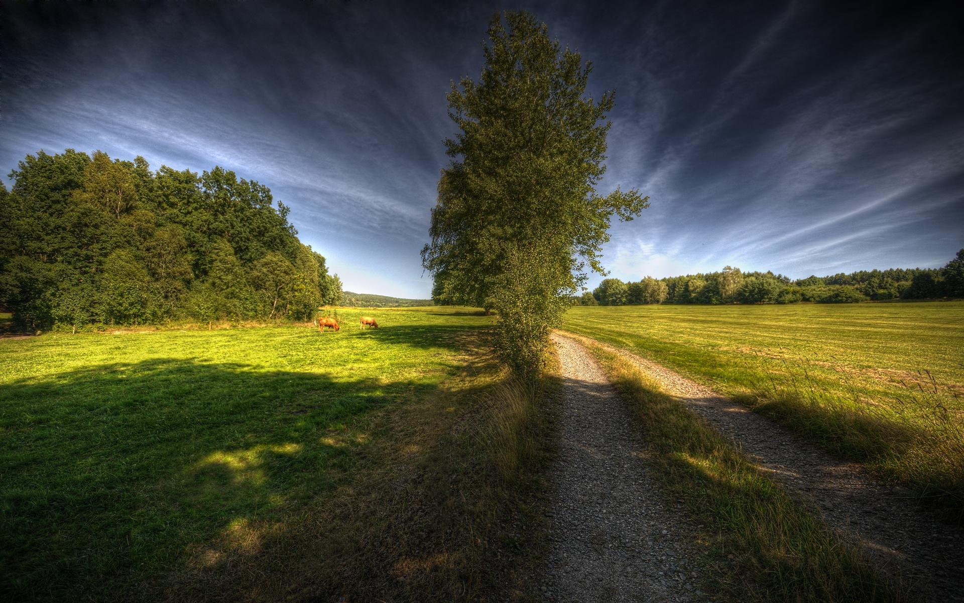 1920x1200 Stunning Spring Wallpaper