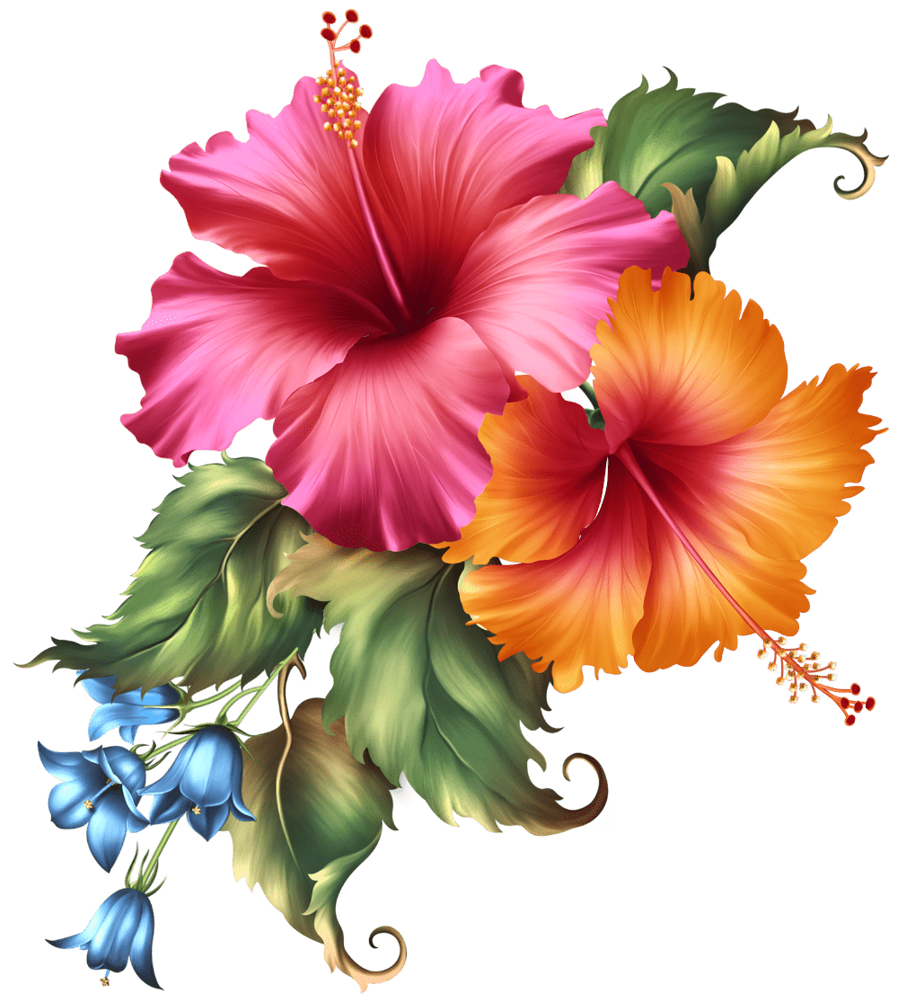 Awesome Hawaiian Flowers Wallpapers - Top Free Awesome Hawaiian Flowers