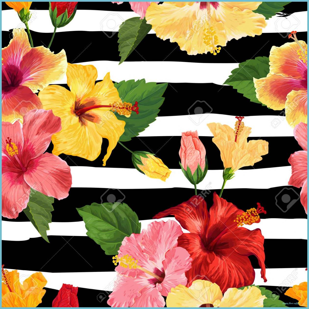 1261x1261 Quiz: How Much Do You Know About Hawaiian Flower Wallpaper?. Hawaiian Flower Wallpaper