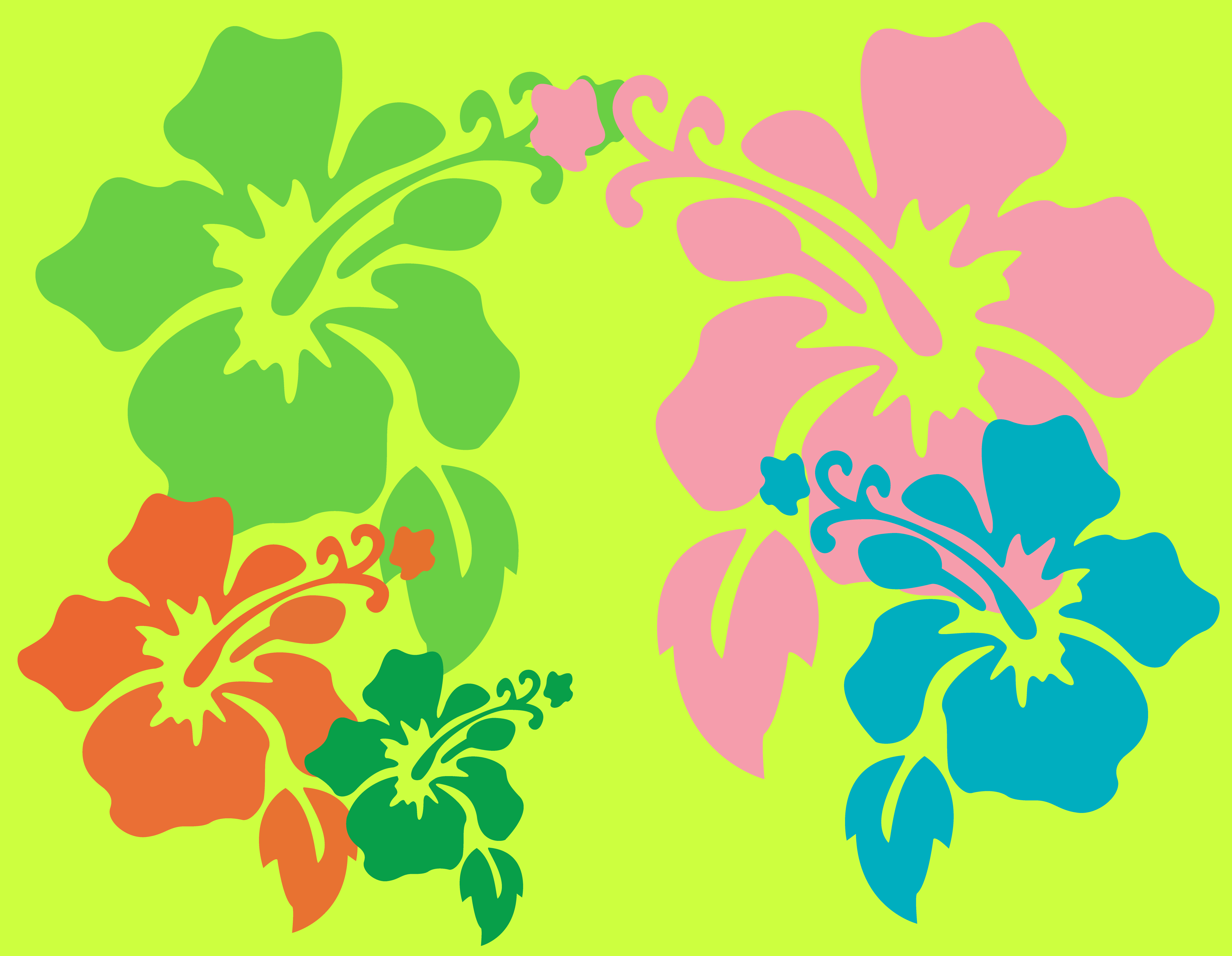 4814x3736 Hawaiian Flower Background