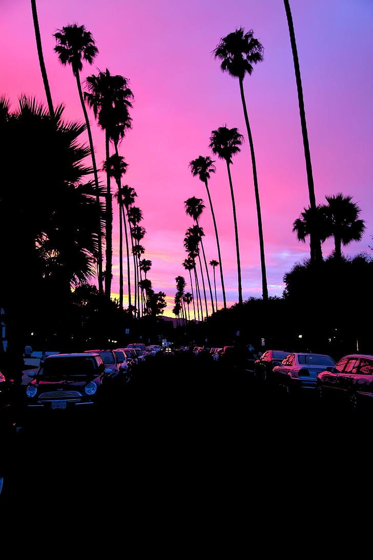 728x1092 Sunset, Palm Trees, Road, Car, California, Dark, HD Tree Road Sunset
