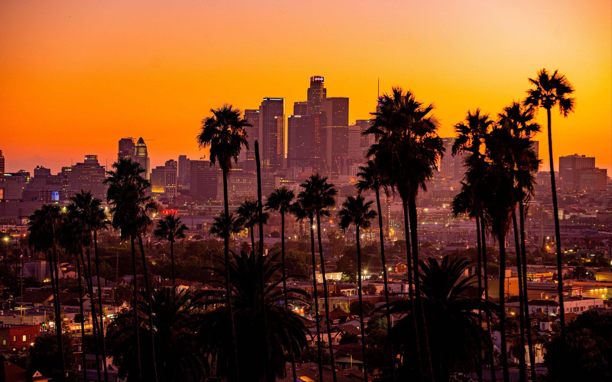 2560x1600 Wallpaper City, Sunset, California, Palm Trees, Los Angeles • Wallpaper For You HD Wallpaper For Desktop & Mobile