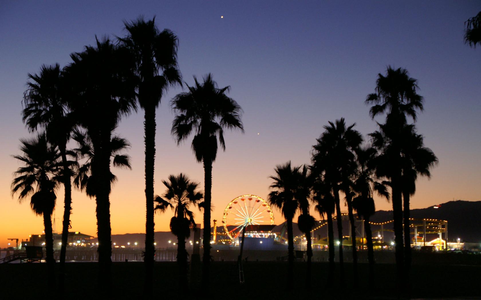 1680x1050 Free download California Palm Trees Wallpaper HD Image 3 HD Wallpaper [1920x1200] for your Desktop, Mobile & Tablet. Explore California Palm Trees Wallpaper. Palm Tree Beaches Wallpaper, Palm Tree iPhone Wallpaper