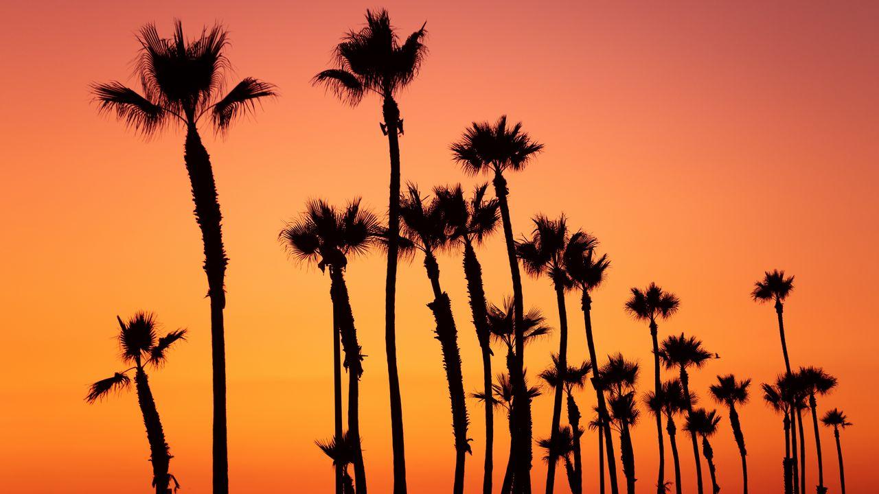 1280x720 Wallpaper palm trees, sunset, sky, pink, tropics hd, picture, image