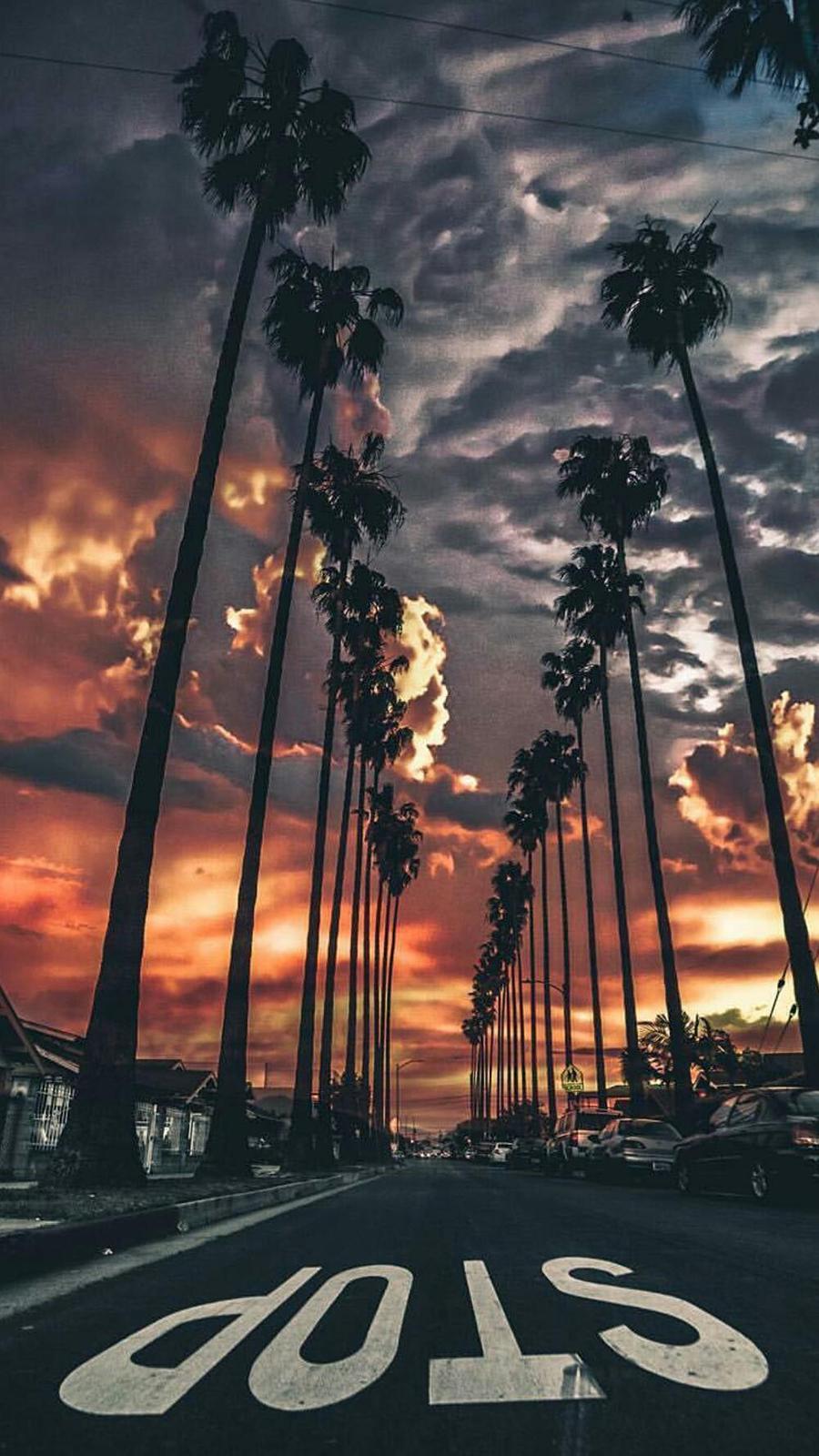 900x1600 California Sunset Wallpaper Wallpaper Free Download For Phone and iPhone