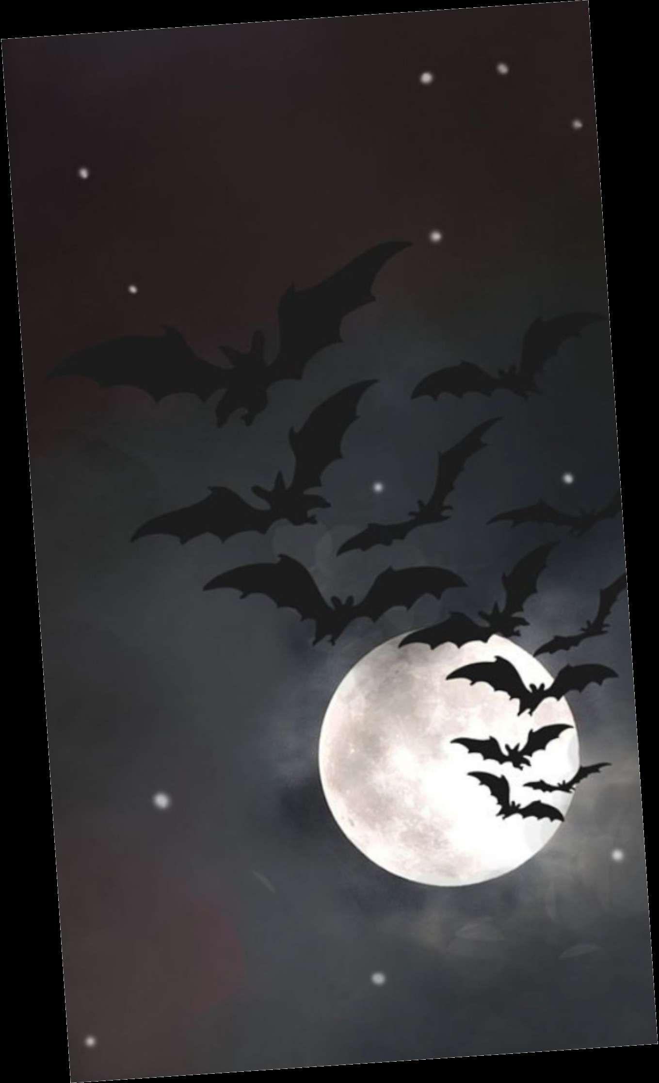 1359x2232 Halloween Background #halloweenbackgroundwallpaper. Gothic wallpaper, Halloween wallpaper iphone, Halloween background