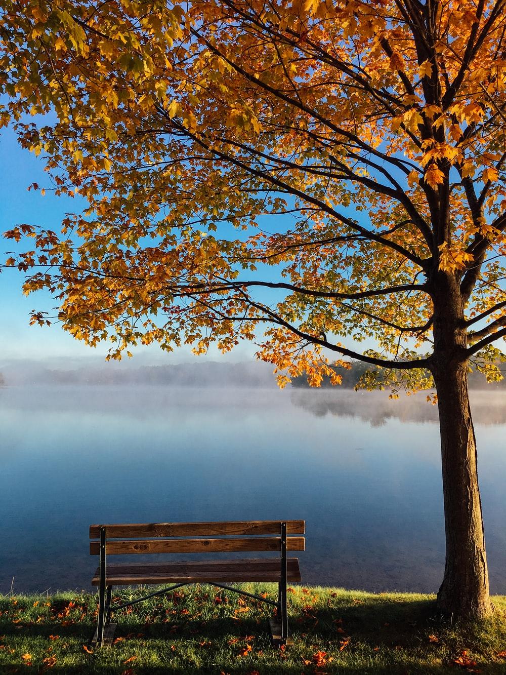 1000x1333 Autumn Wallpaper: Free HD Download [HQ]
