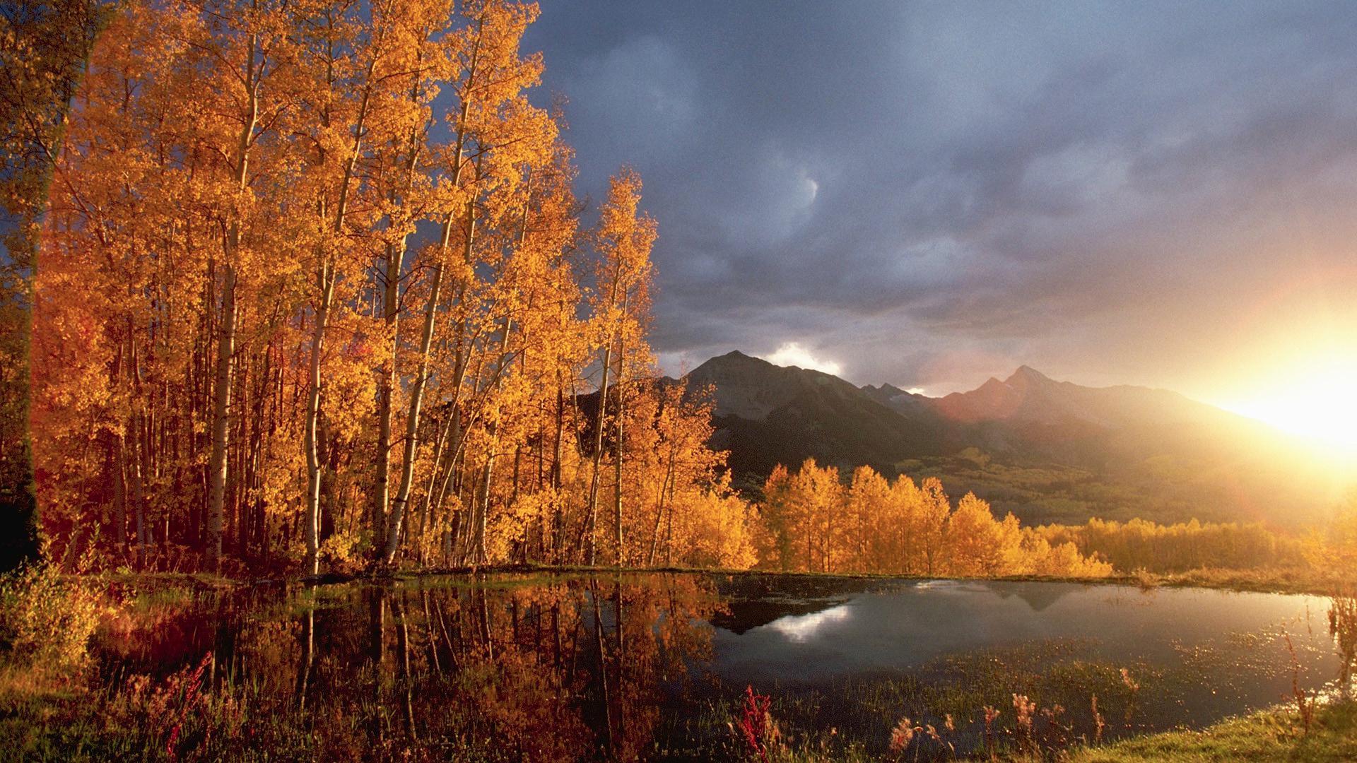 1920x1080 18++ Autumn Wallpaper Full HD Download