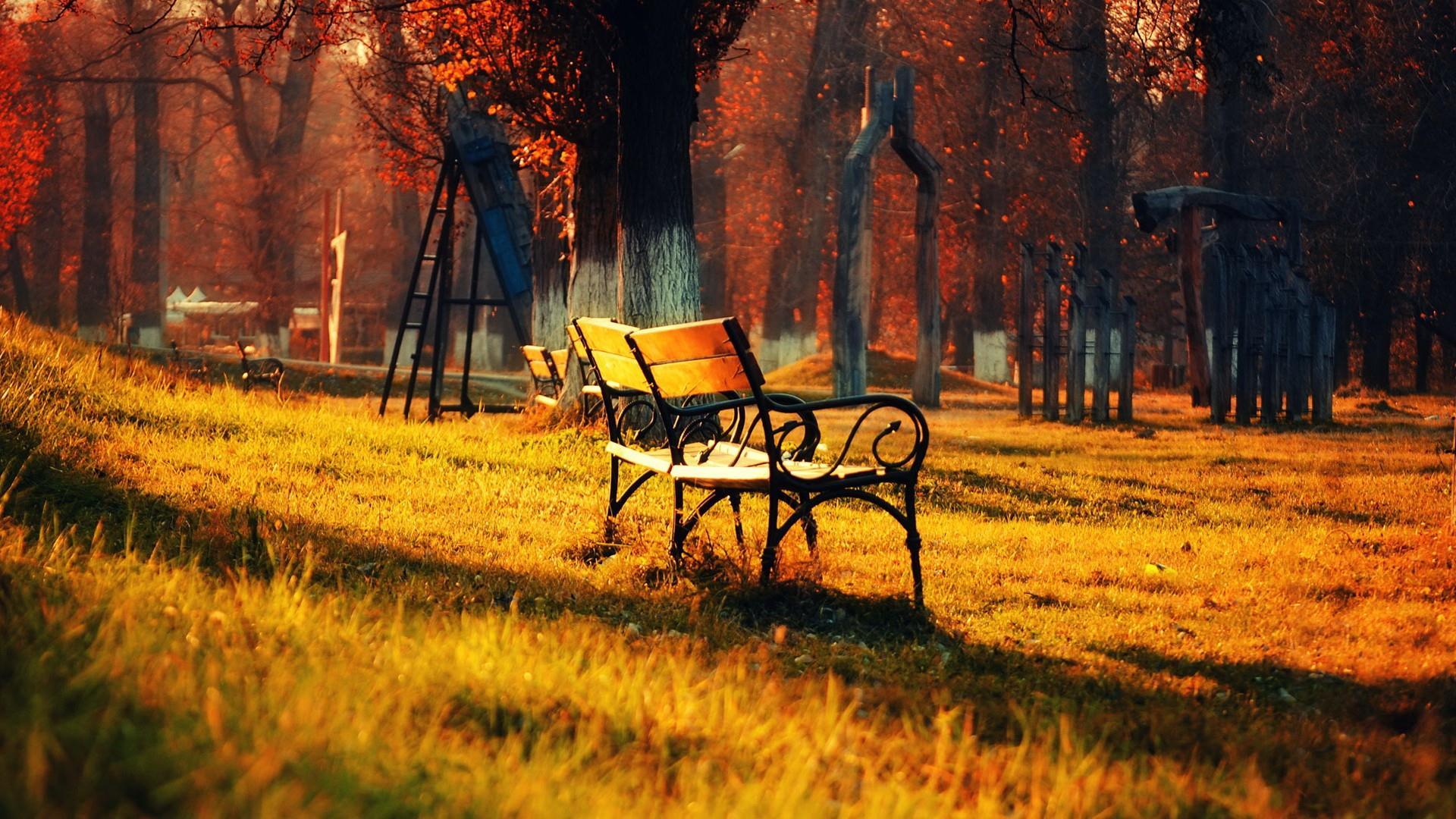 1920x1080 Autumn HD Wallpaperx1080