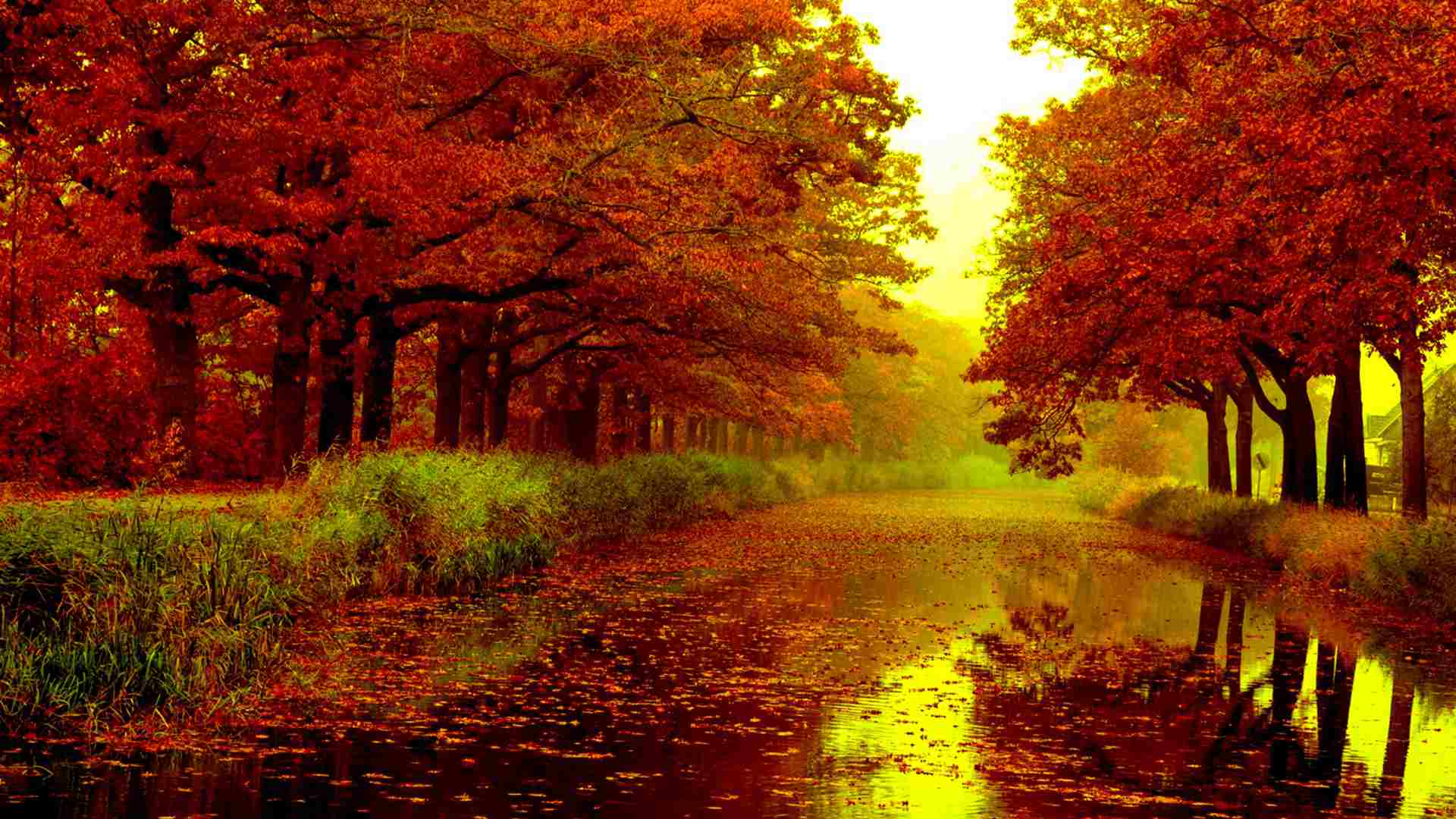 1920x1080 Best Free Autumn Wallpaper