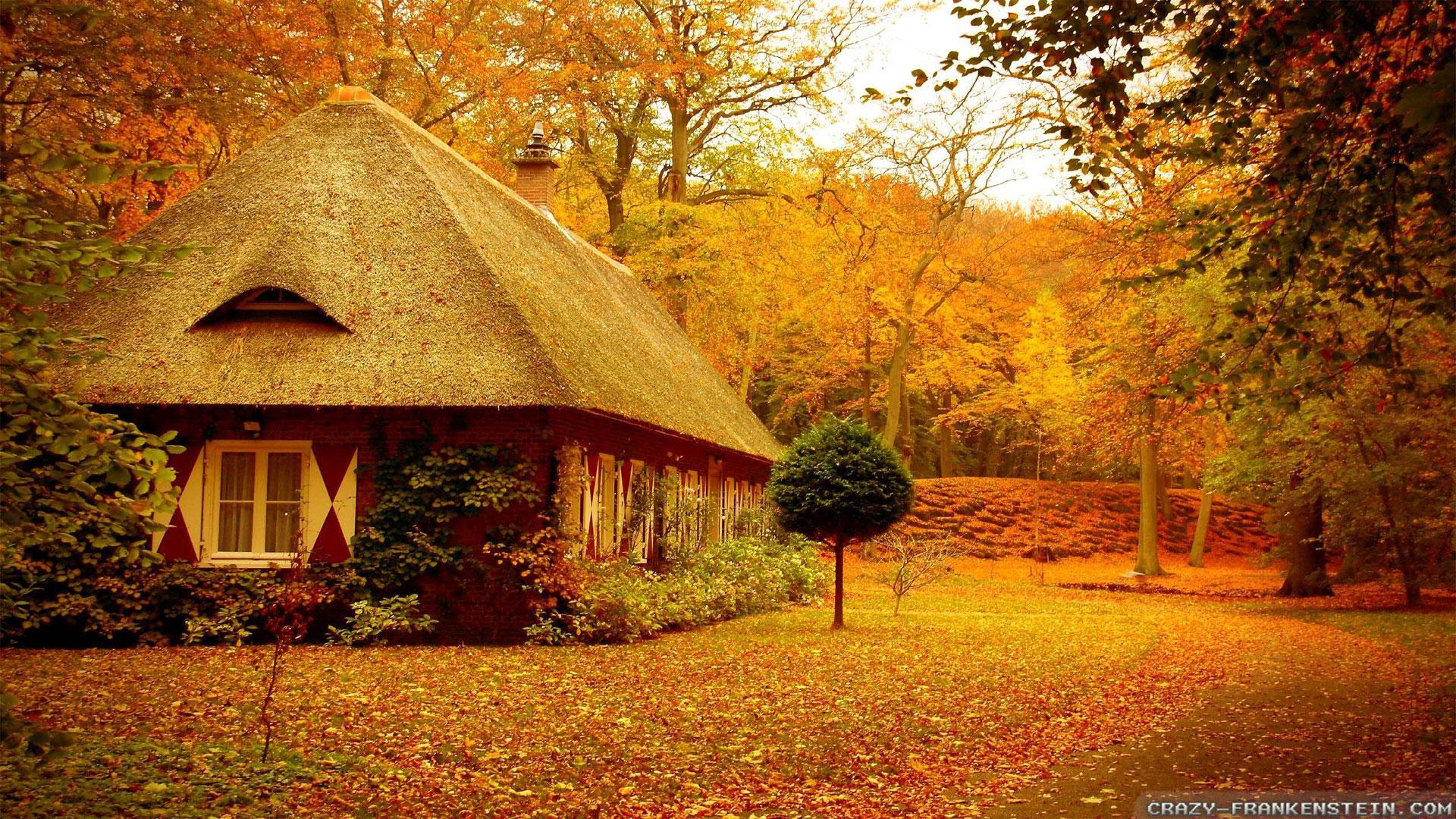 1920x1080 Autumn Scene Wallpaper 54 Autumn Wallpaper Examples Wallpaper For Desktop HD Wallpaper
