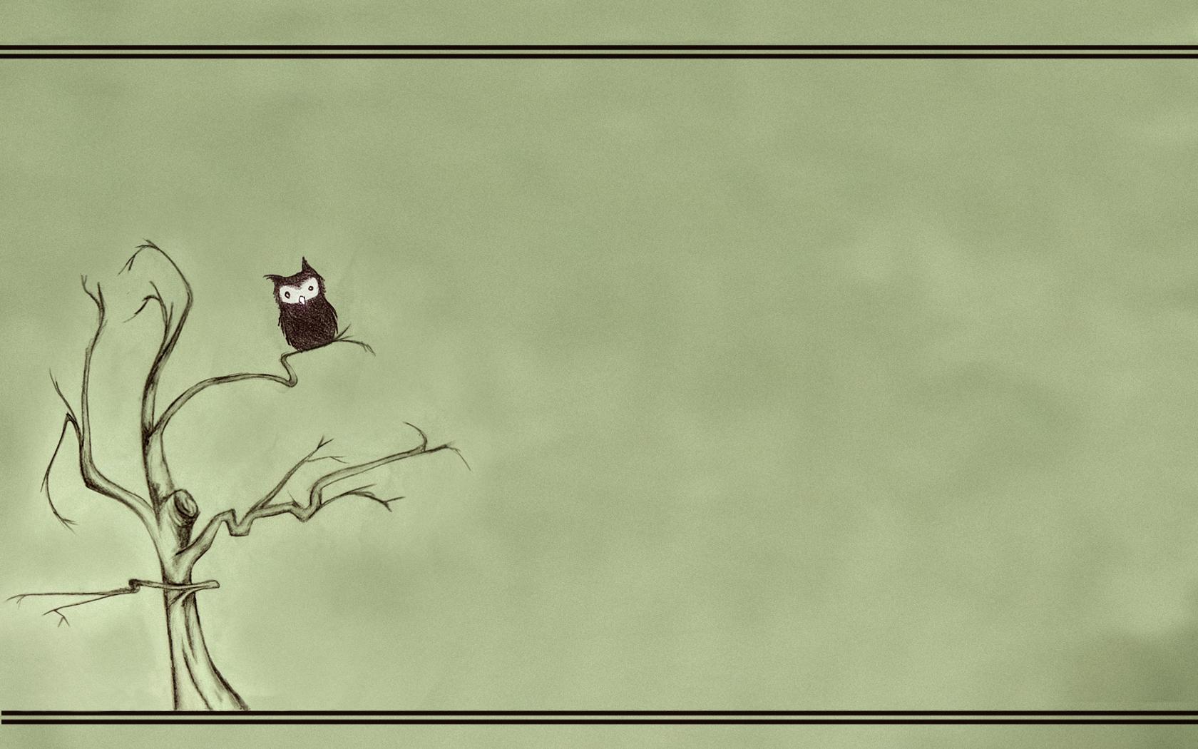1680x1050 Owl Computer Background