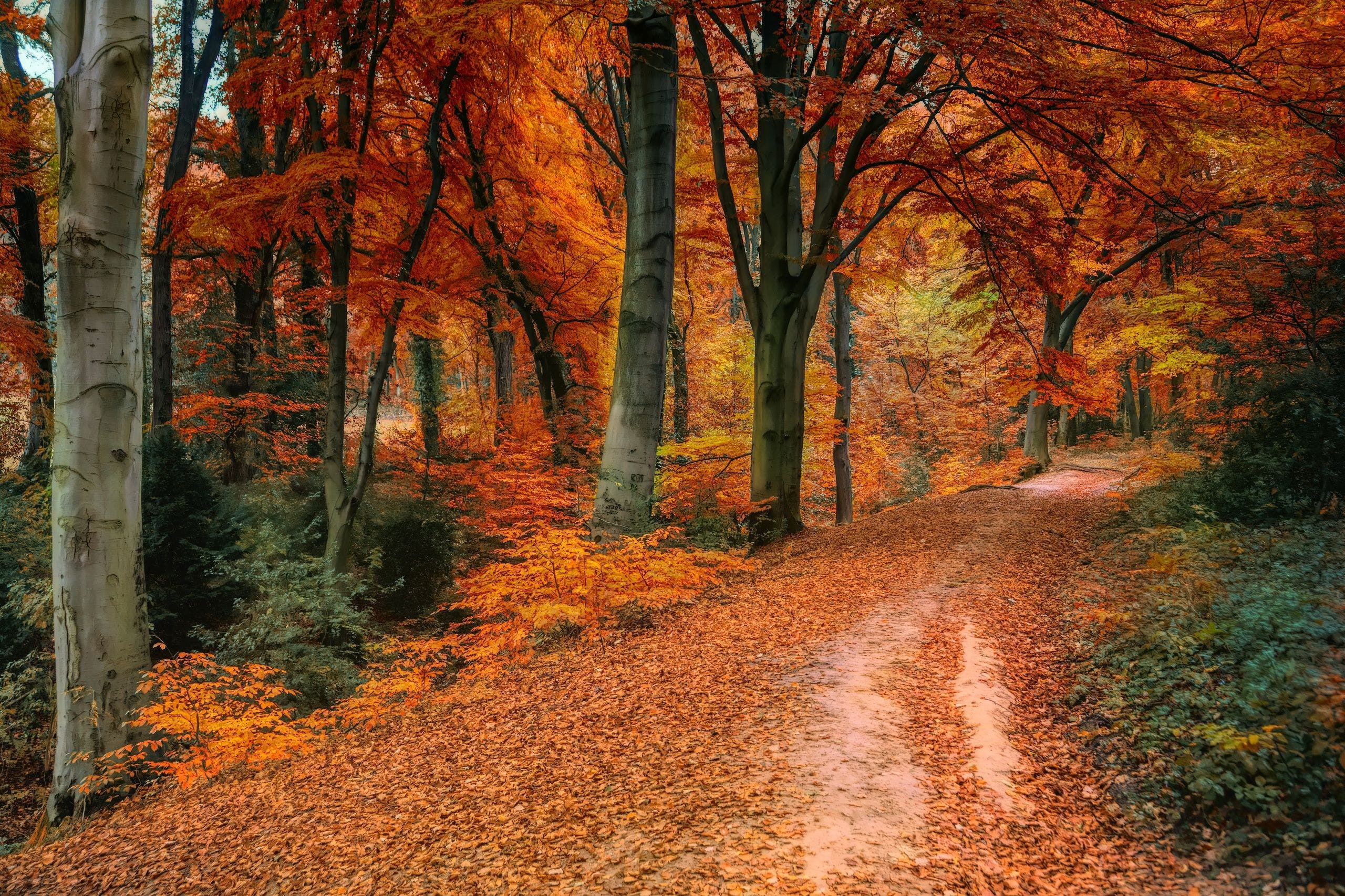 2560x1707 Autumn Wallpaper, HD Autumn Background