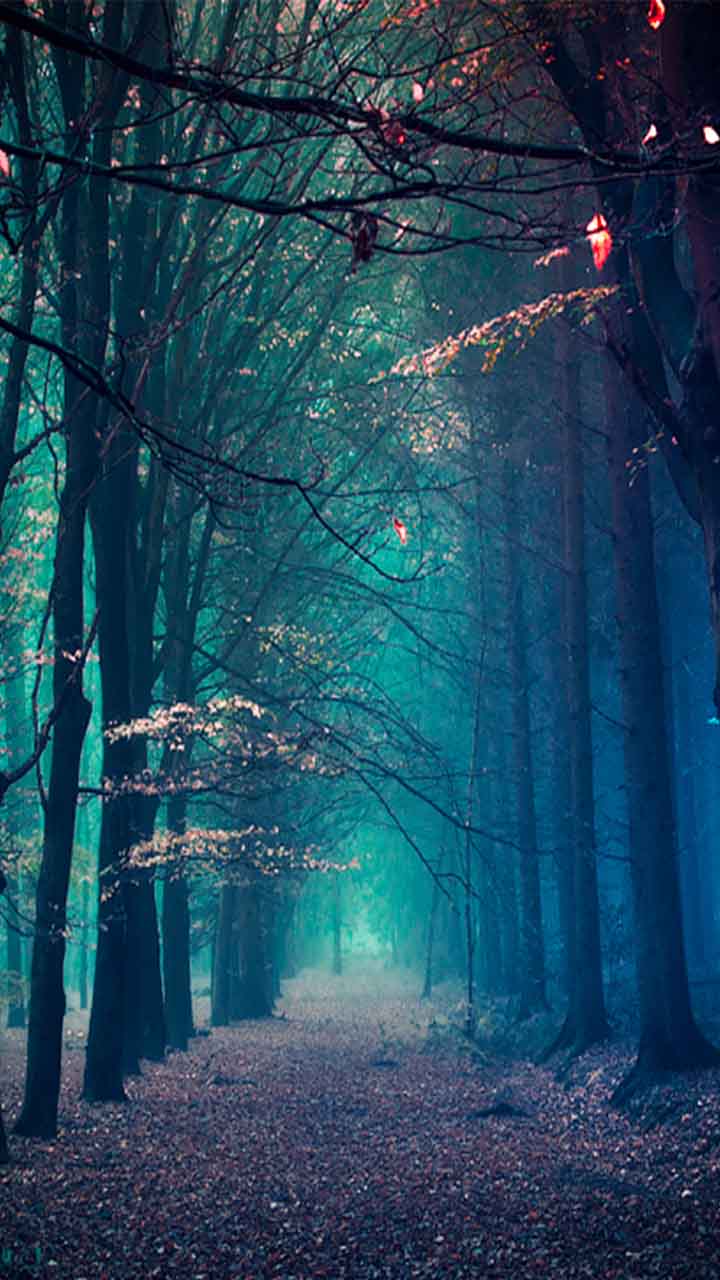 720x1280 Purple Winter Desktop Wallpaper